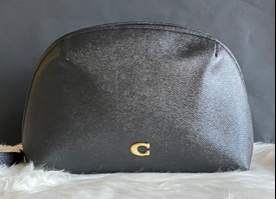 Coach Julienne Cosmetic Case 22