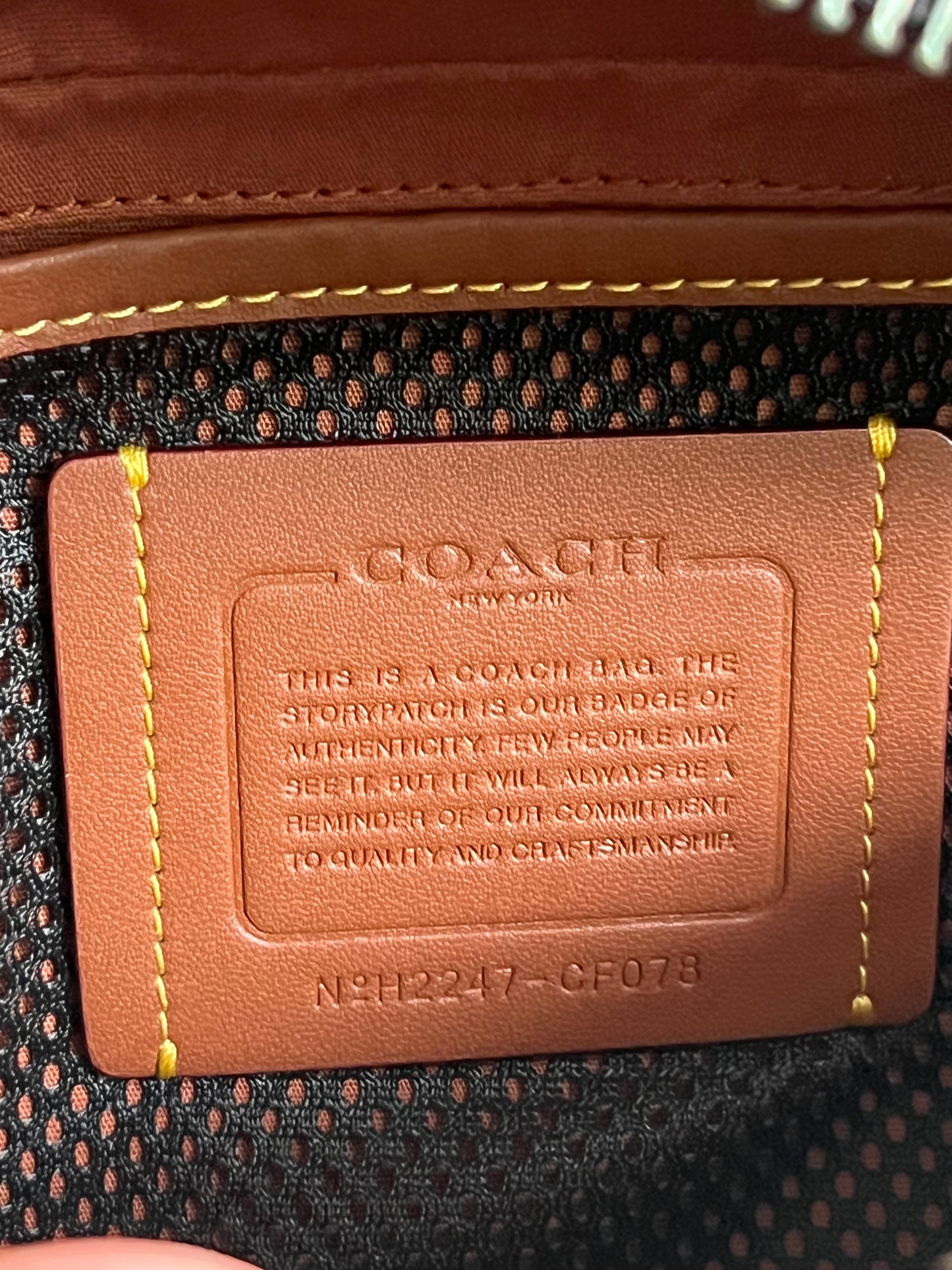 Coach League Belt Bag in Signature Canvas with Rexy Print