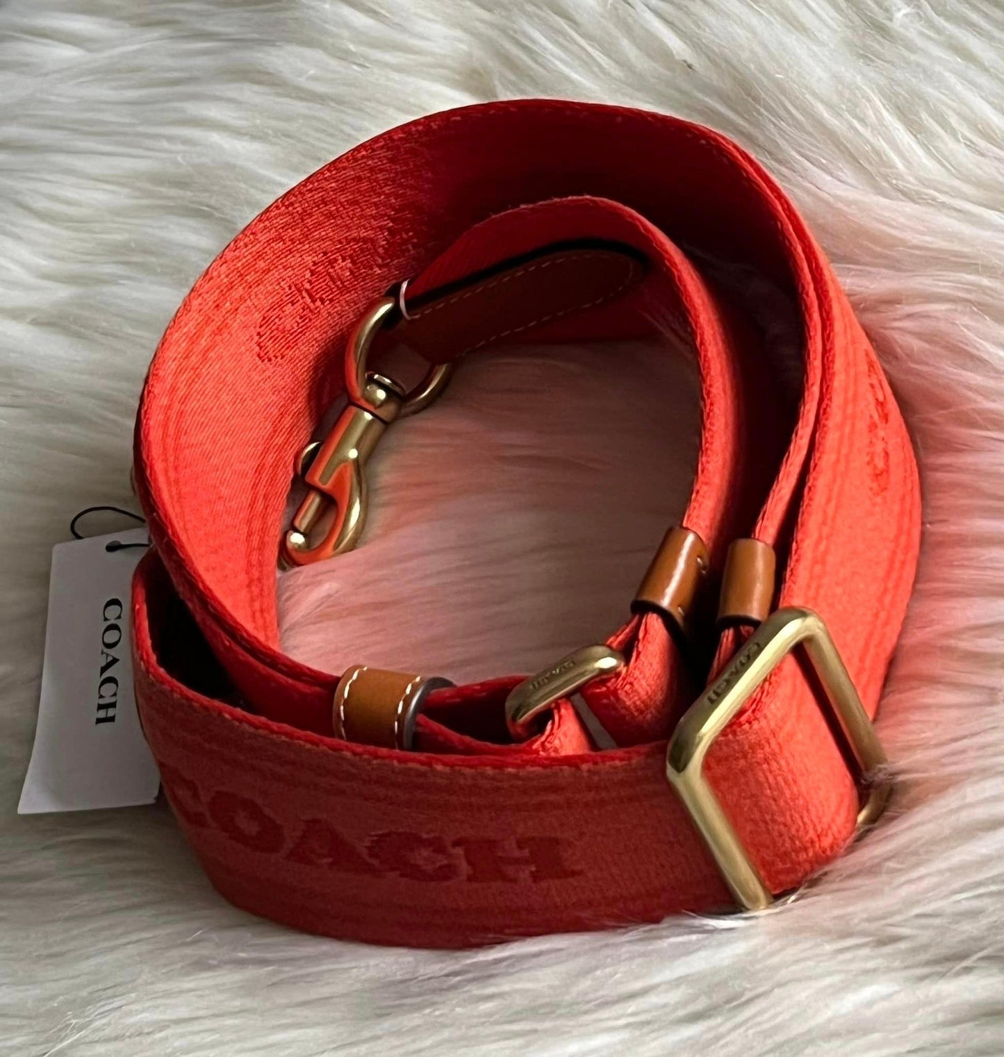 Coach Colorblock Webbing Strap