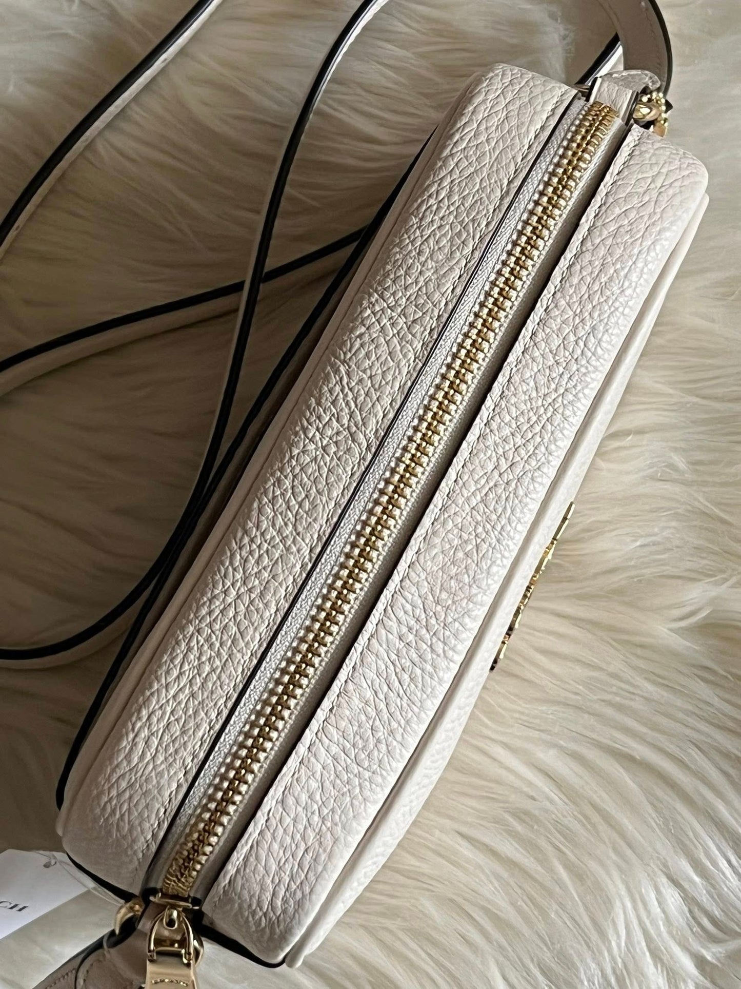 Coach Mini Jamie Camera Bag in Signature Leather