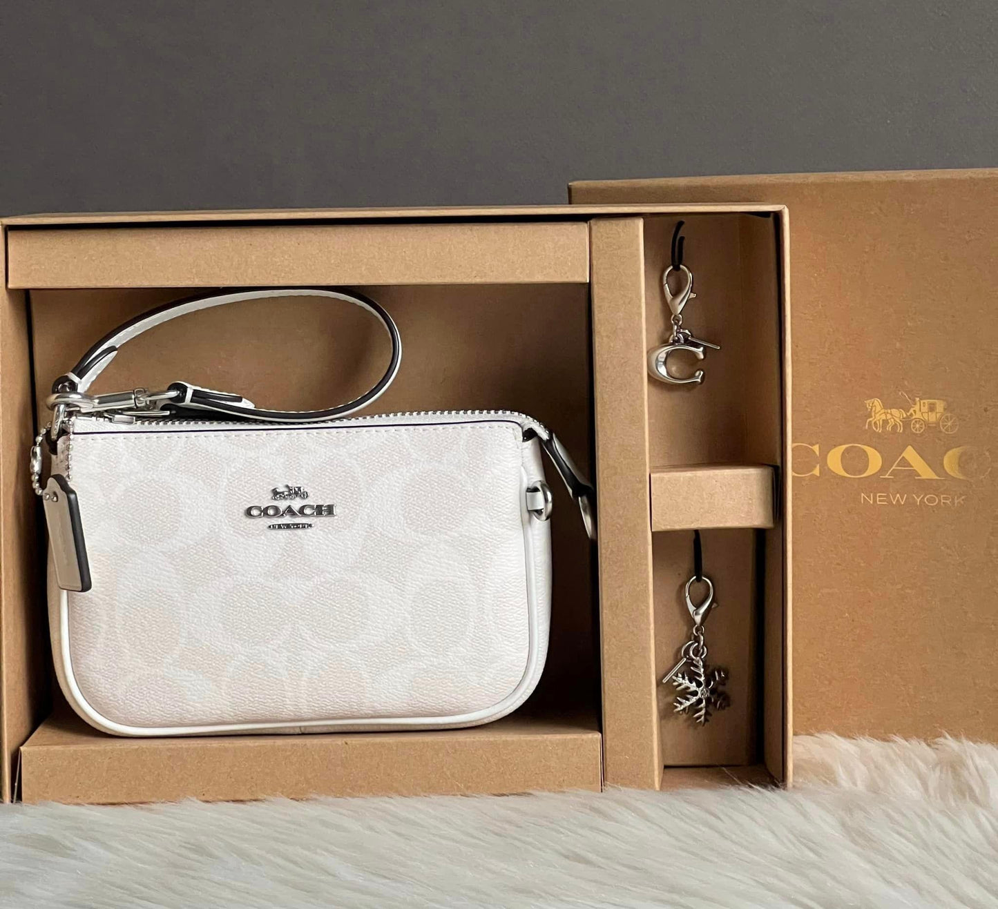 Coach Boxed Nolita 15 In Signature Canvas