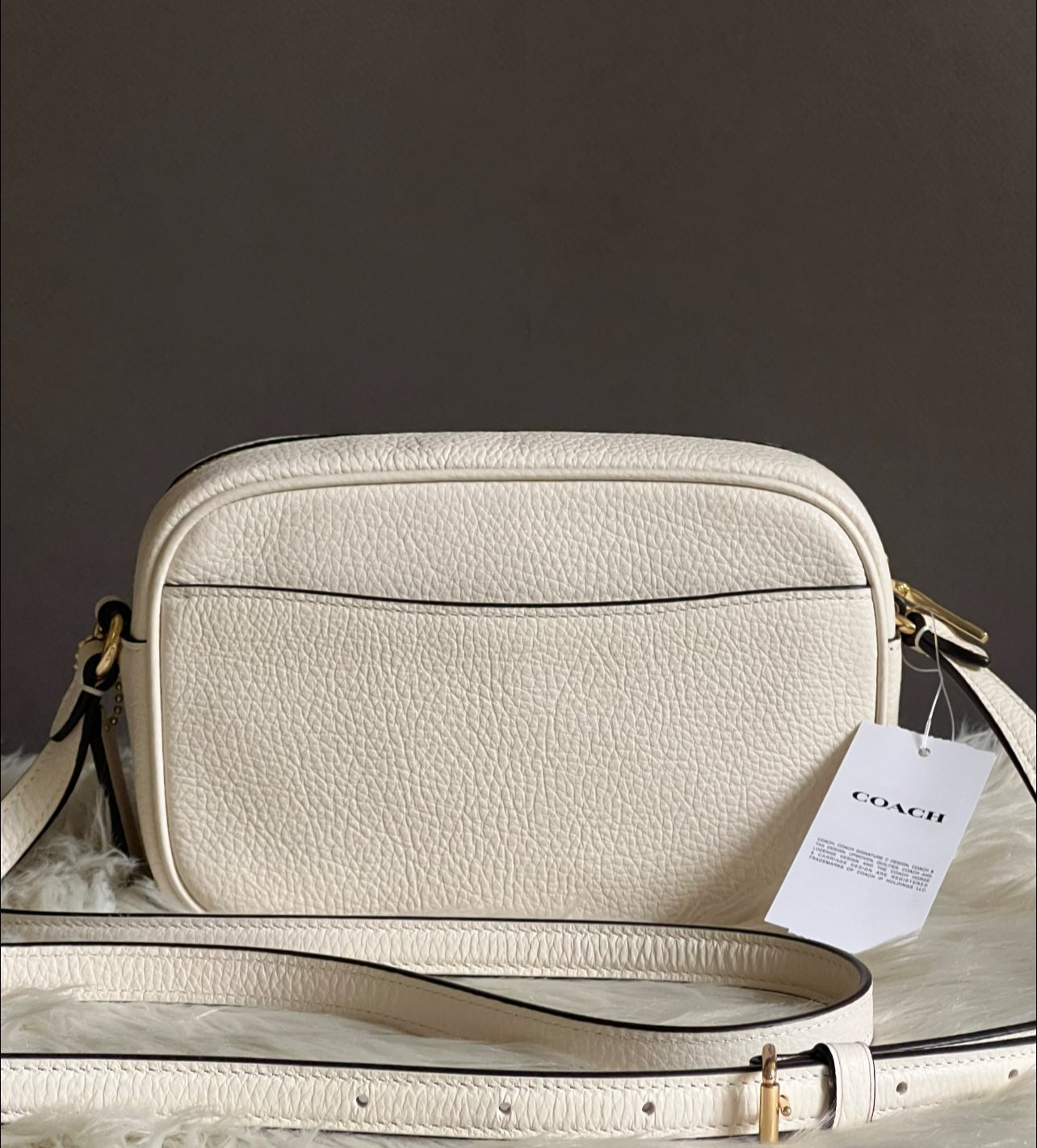 Coach Mini Jamie Camera Bag in Signature Leather