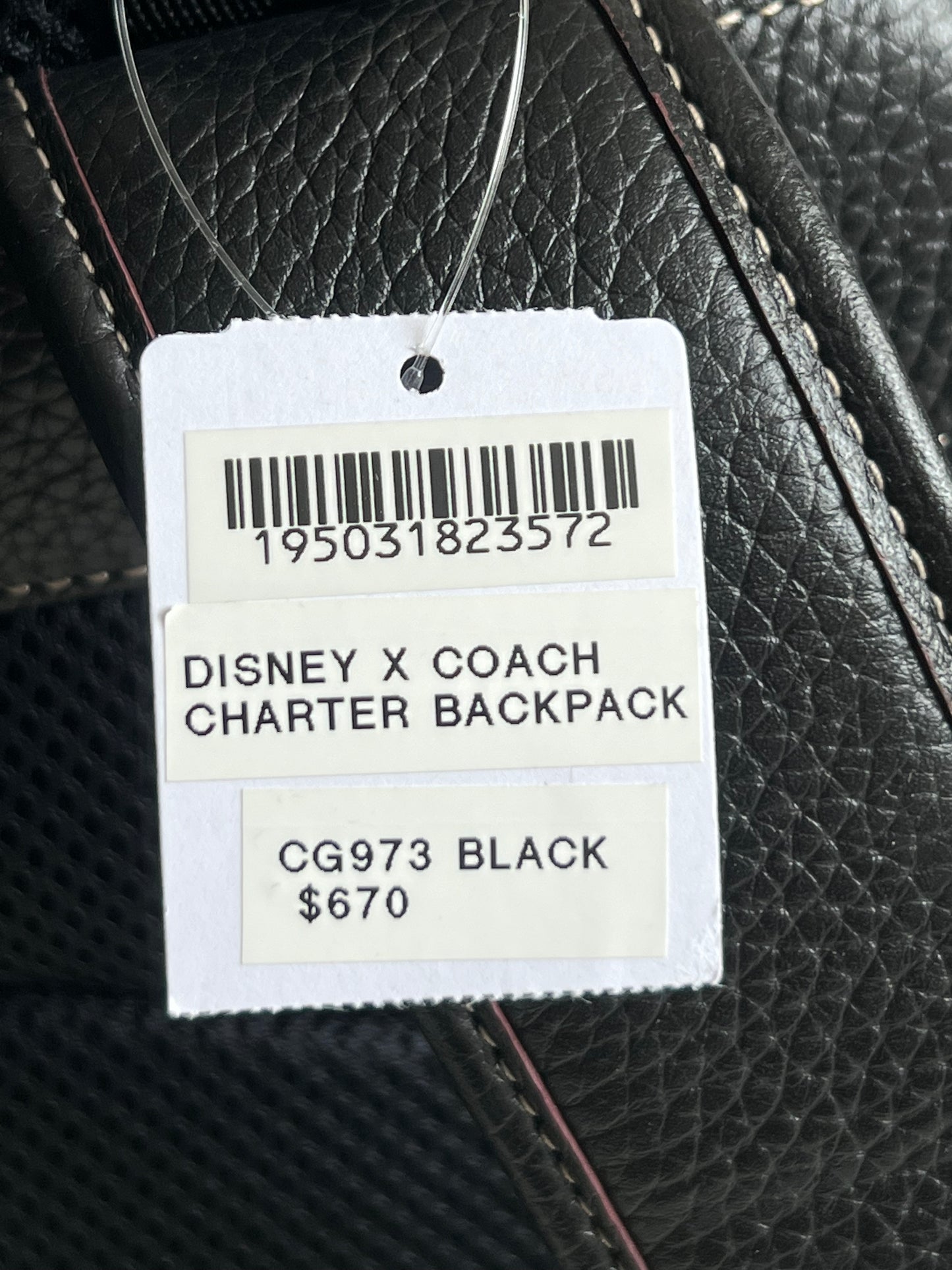 Disney X Coach Charter Backpack in Regenerative Leather