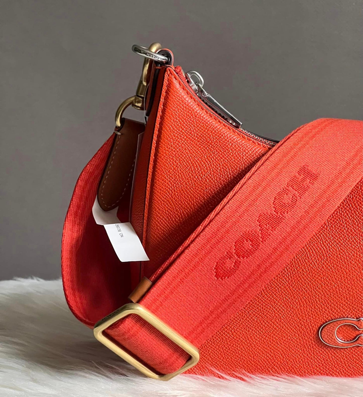 Coach Colorblock Webbing Strap