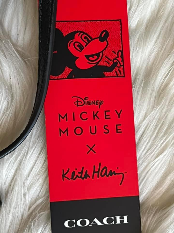 Coach Disney Mickey Mouse X Keith Haring Mini Camera Bag