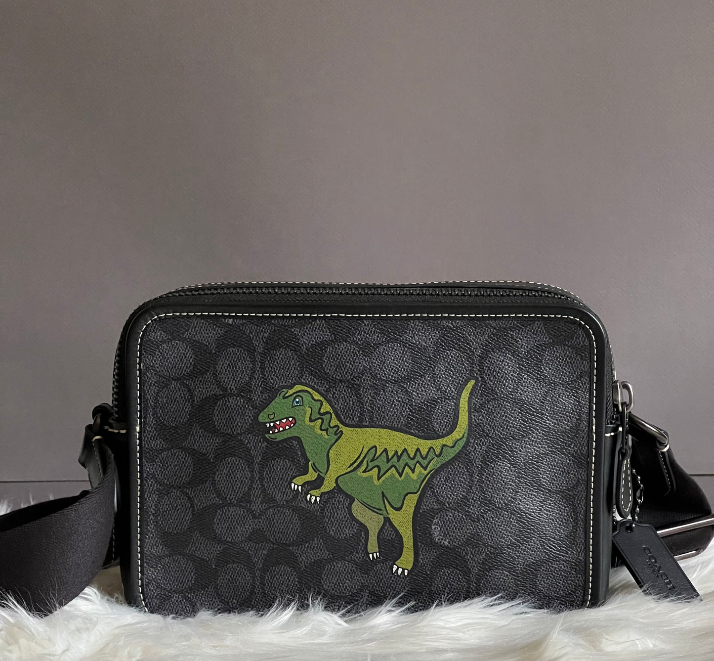 Coach Charter Crossbody 24 Signature Canvas with Rexy