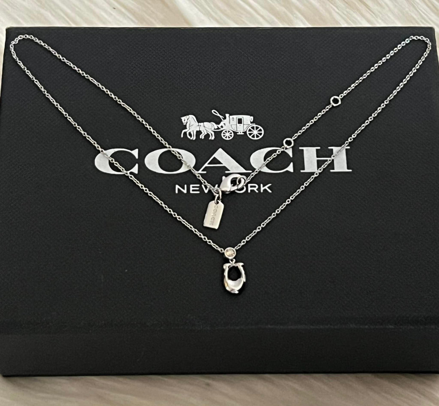 Coach Signature Enamel Necklace