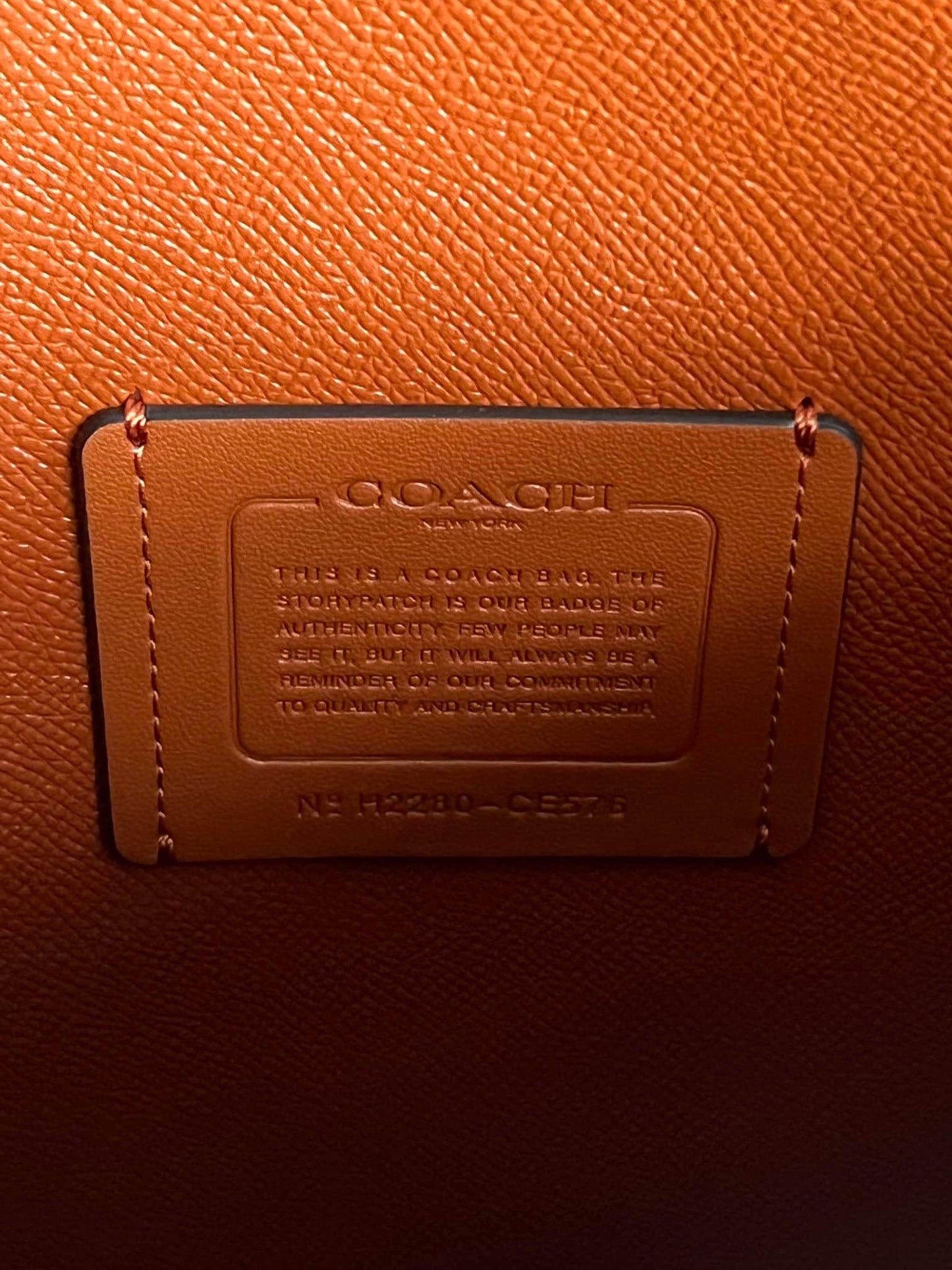 Coach Mollie Tote in Signature Canvas with Jumbo Floral Print