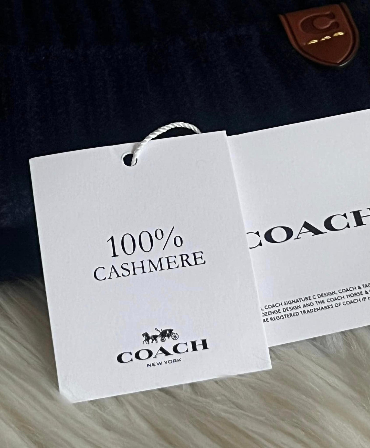 Coach Cashmere Beanie