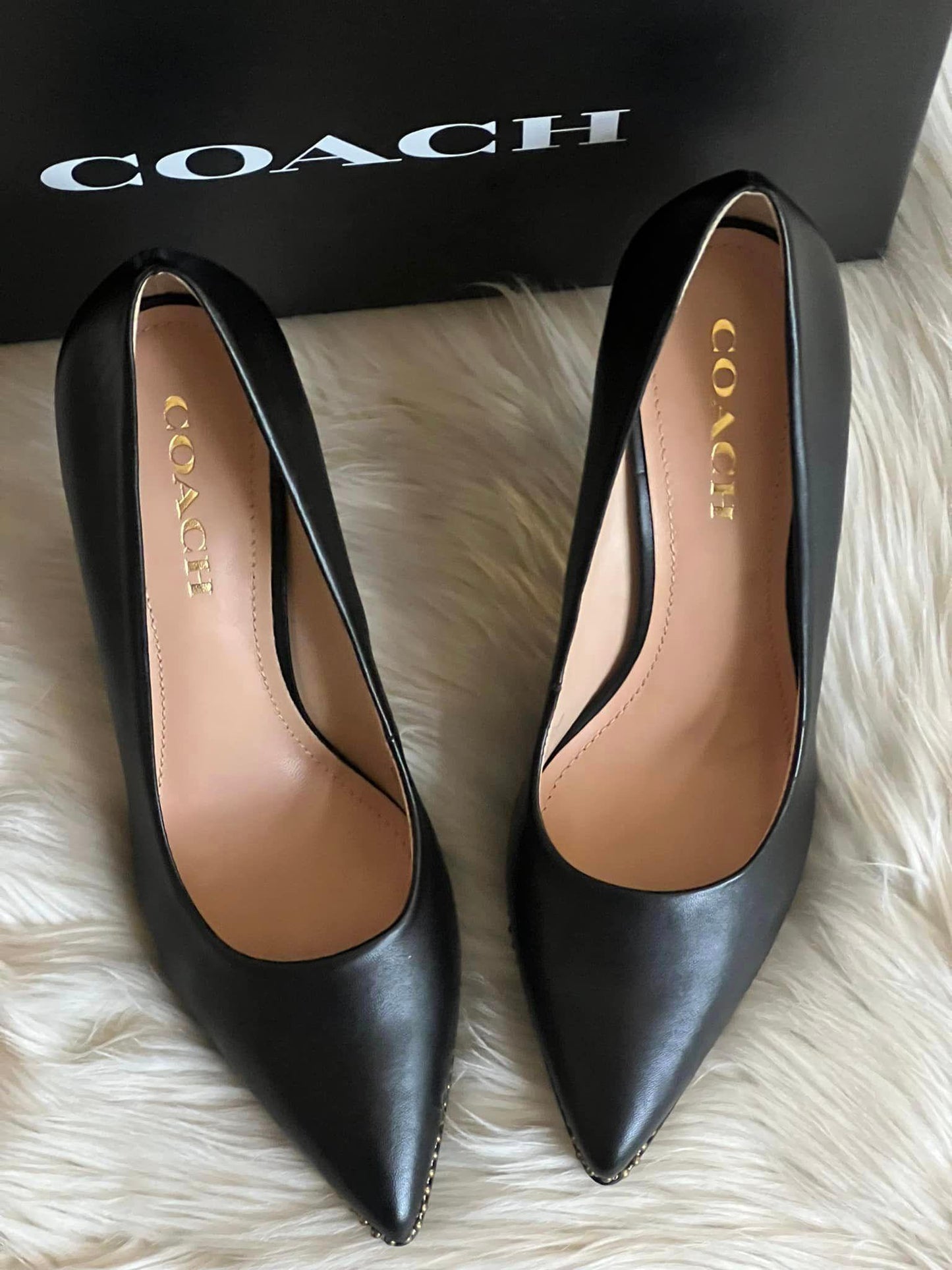 Coach Waverly Leather Pump