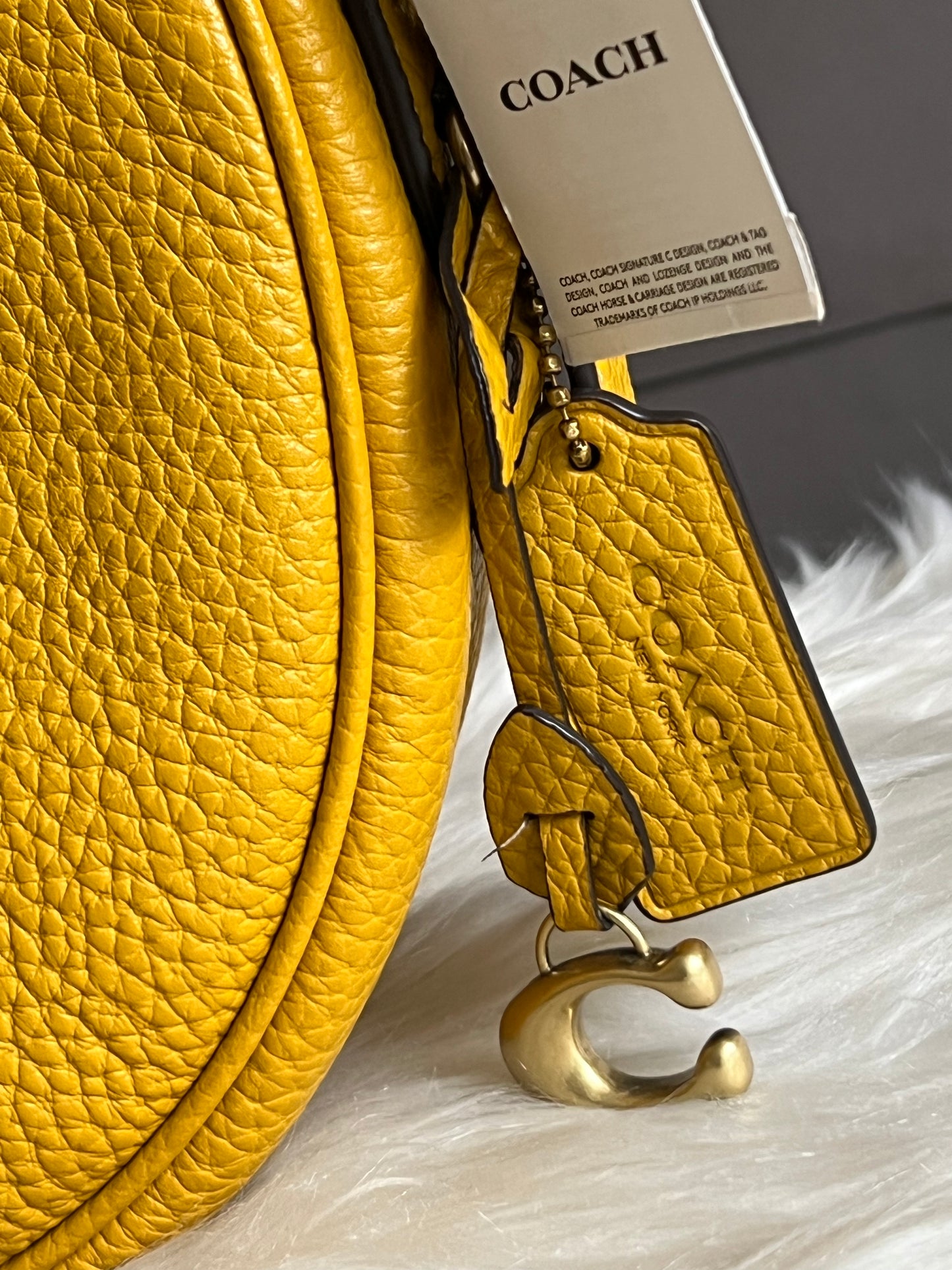 Coach Luna Shoulder Bag
