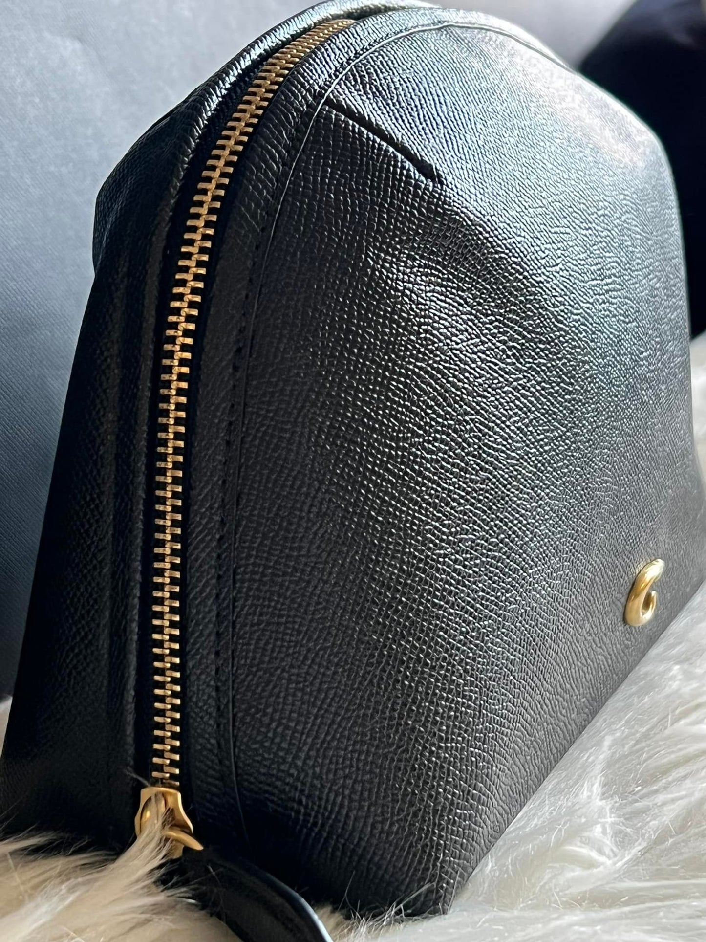 Coach Julienne Cosmetic Case 22