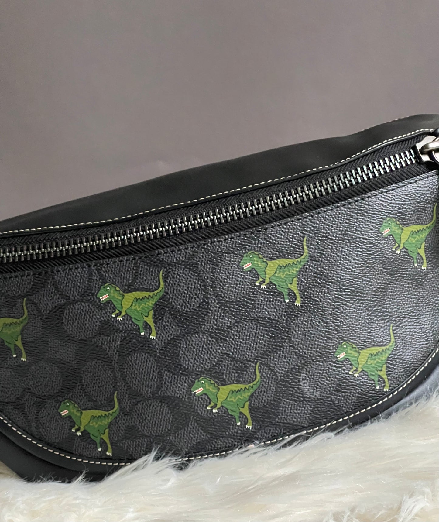 Coach League Belt Bag in Signature Canvas with Rexy Print