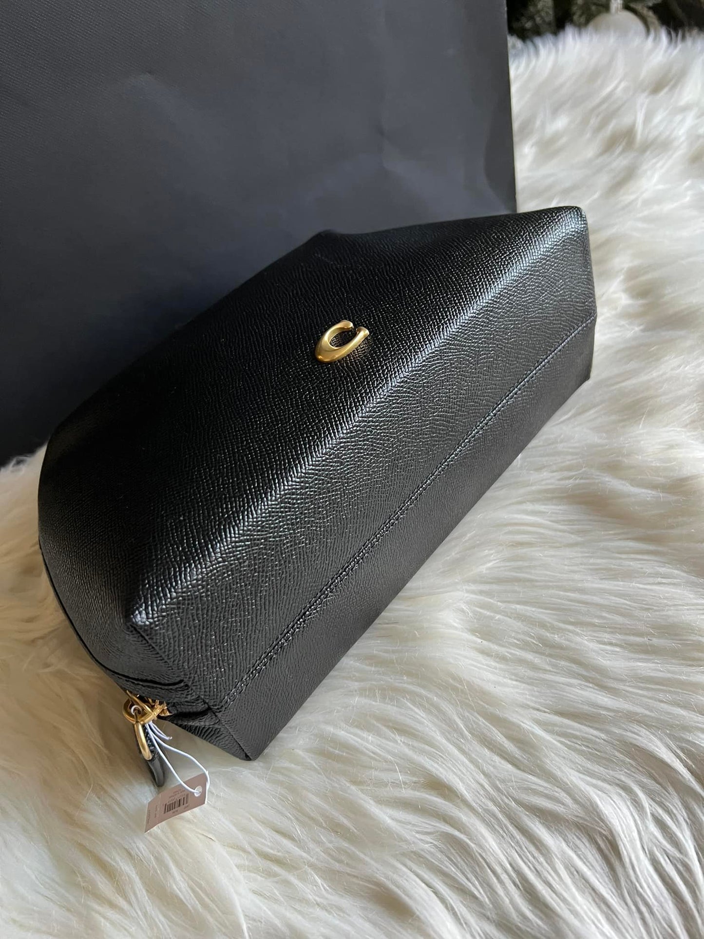 Coach Julienne Cosmetic Case 22