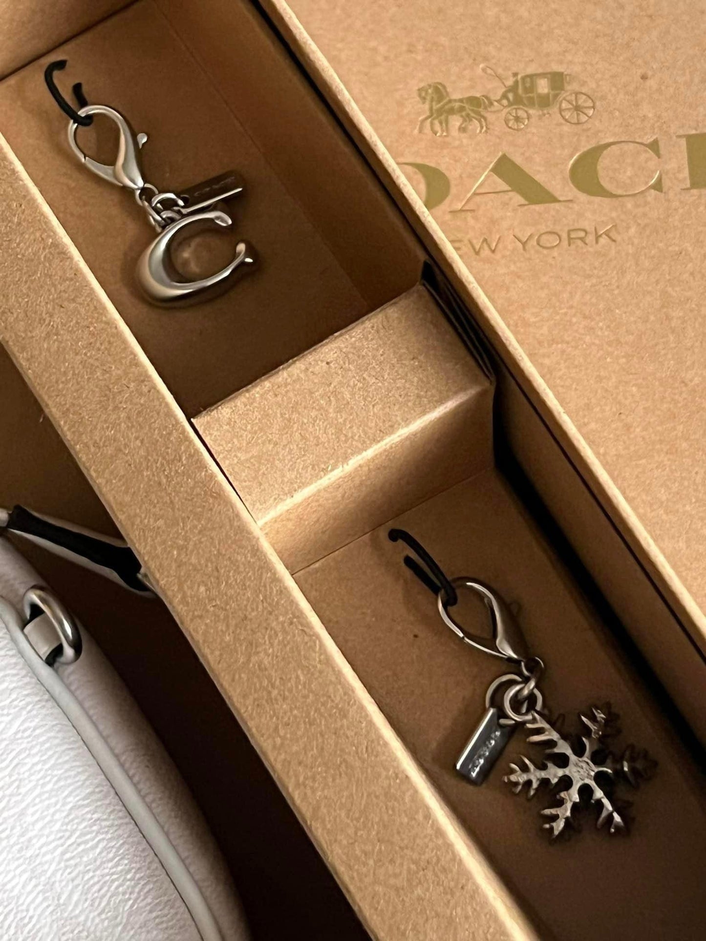 Coach Boxed Nolita 15 In Signature Canvas