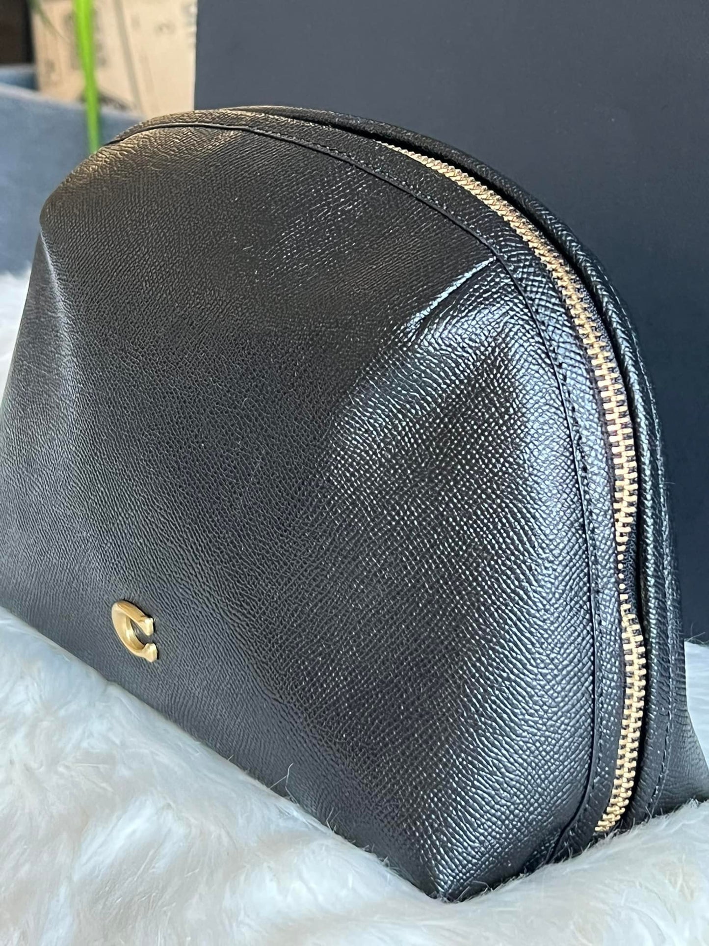 Coach Julienne Cosmetic Case 22