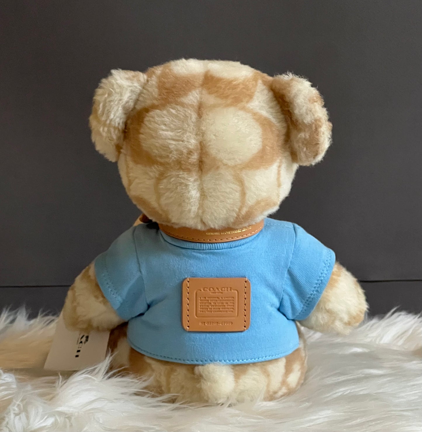 Coach Ski Bear Collectible in Signature Shearling