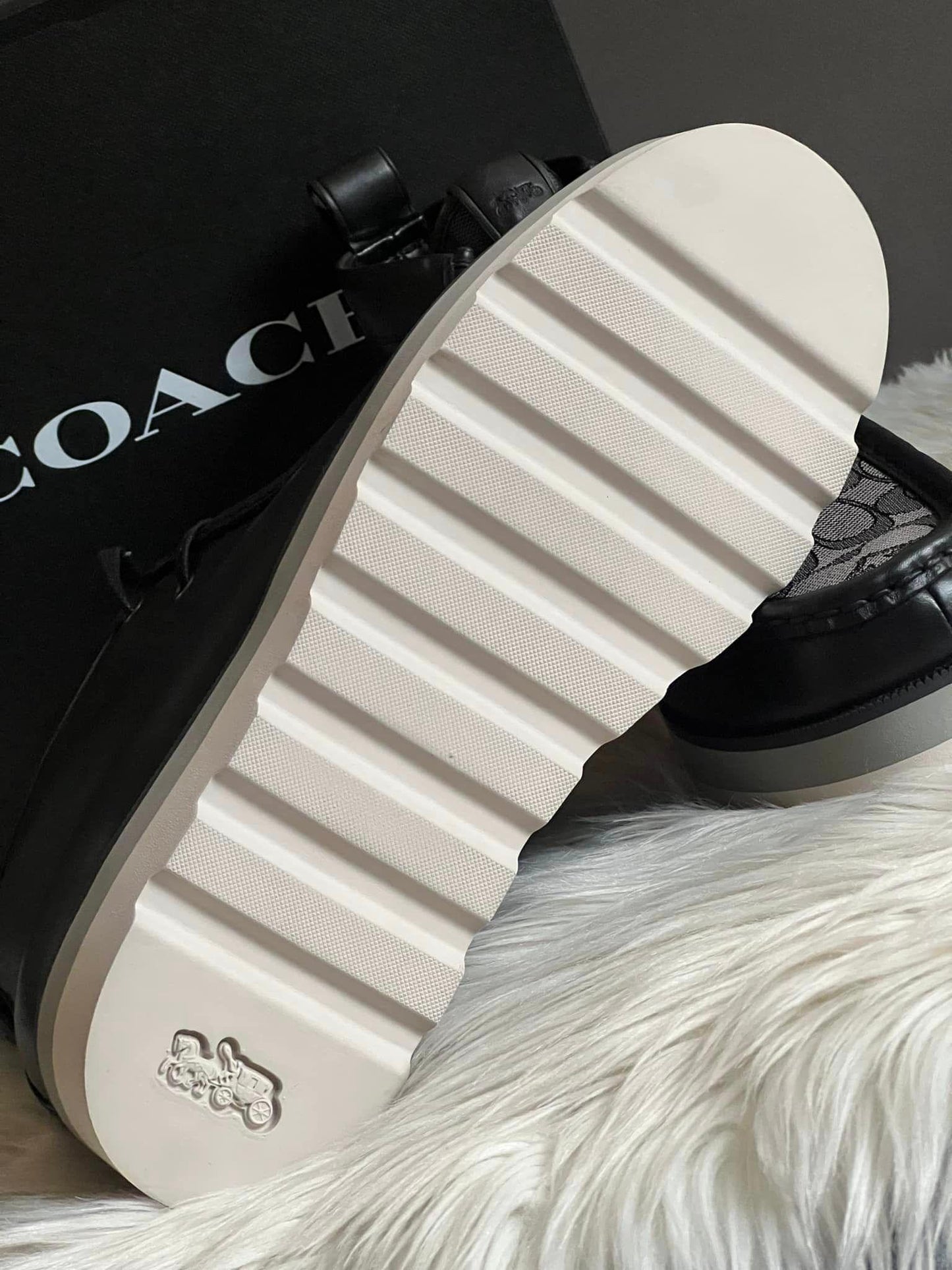 Coach Chukka Boot in Signature Jacquard