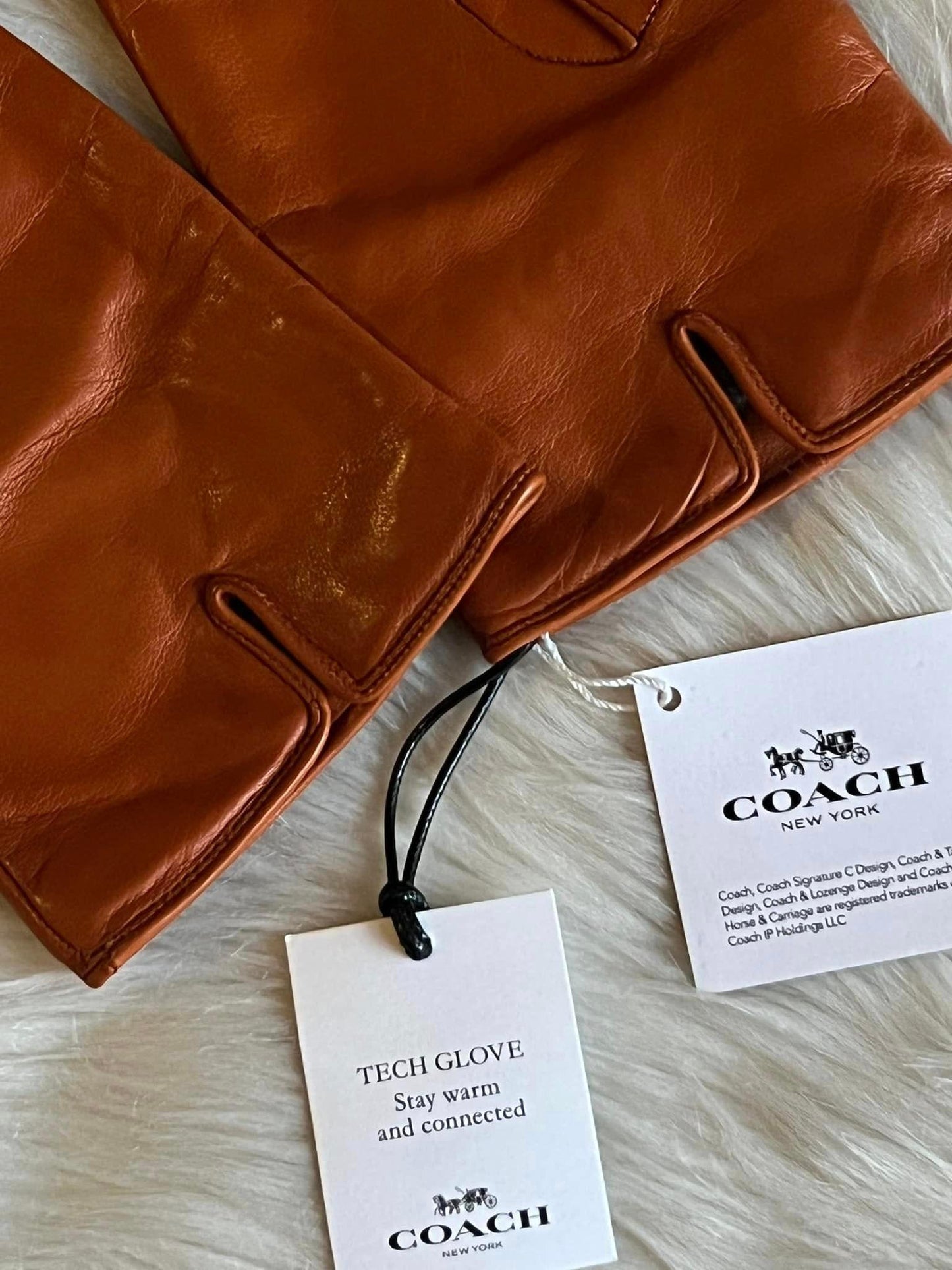 Coach Sculpted Signature Leather Tech Gloves