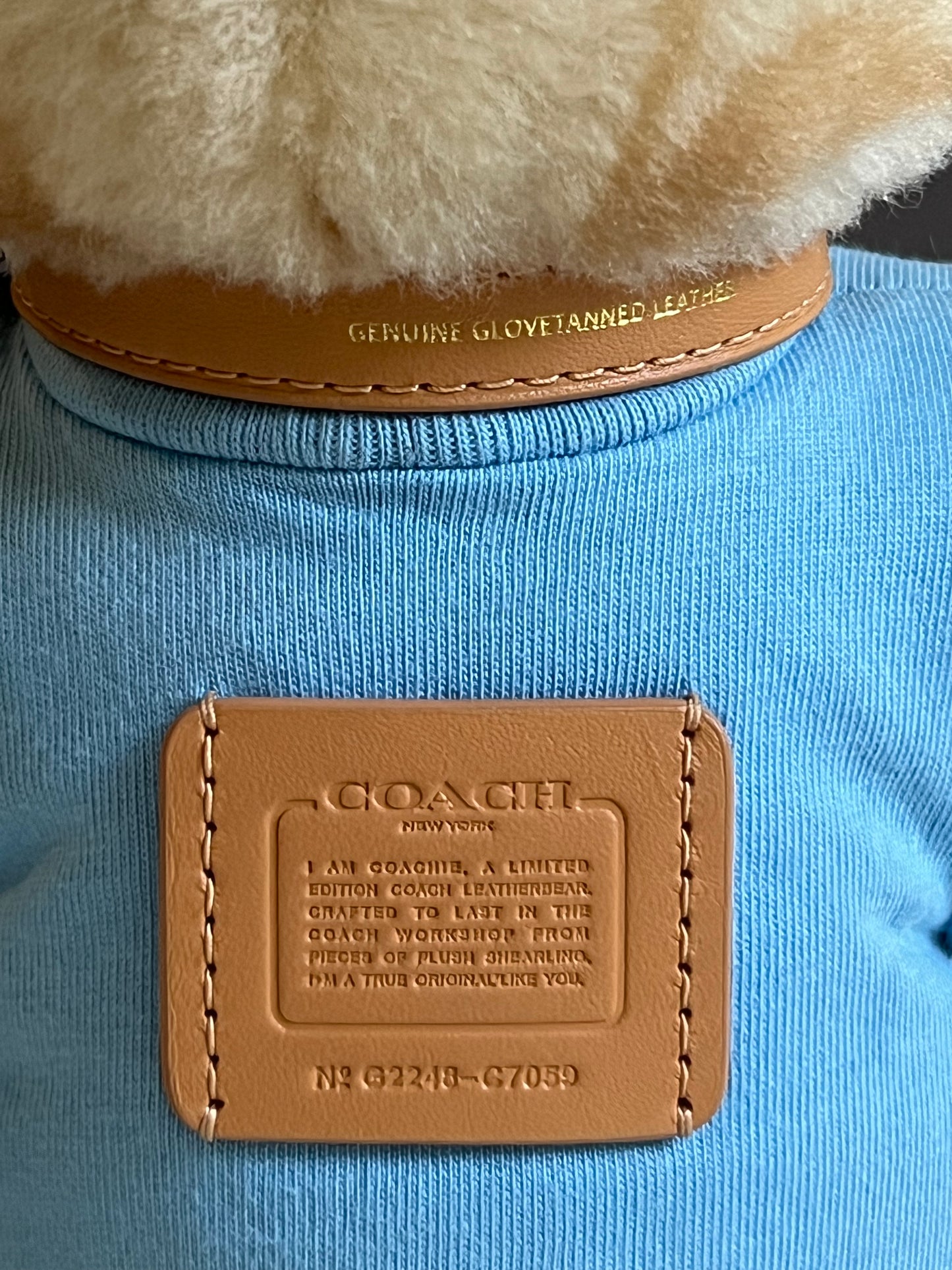 Coach Ski Bear Collectible in Signature Shearling