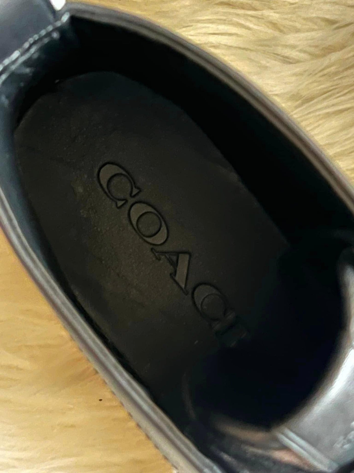 Coach Chukka Boot in Signature Jacquard