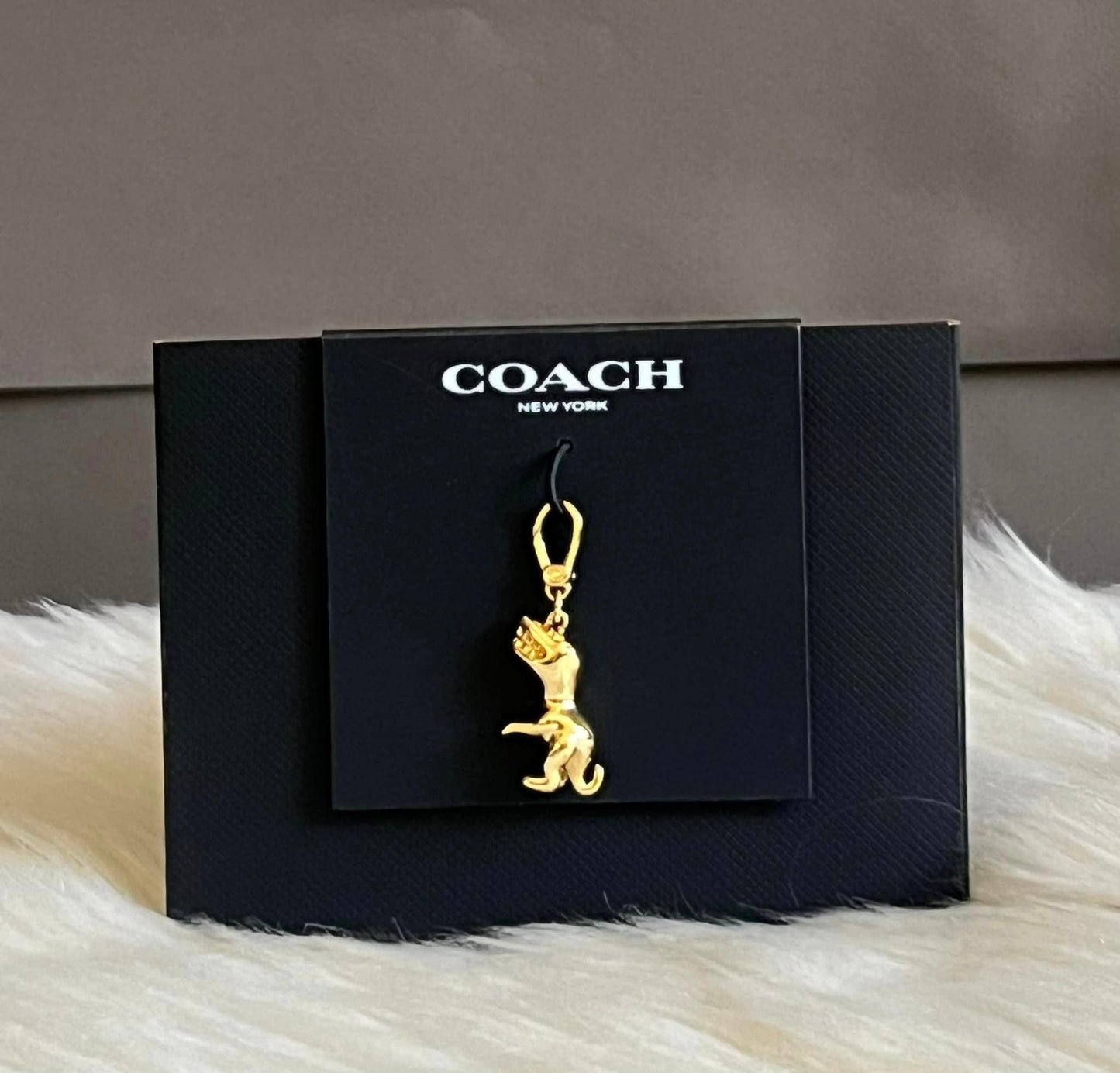 Coach Rexy Charm