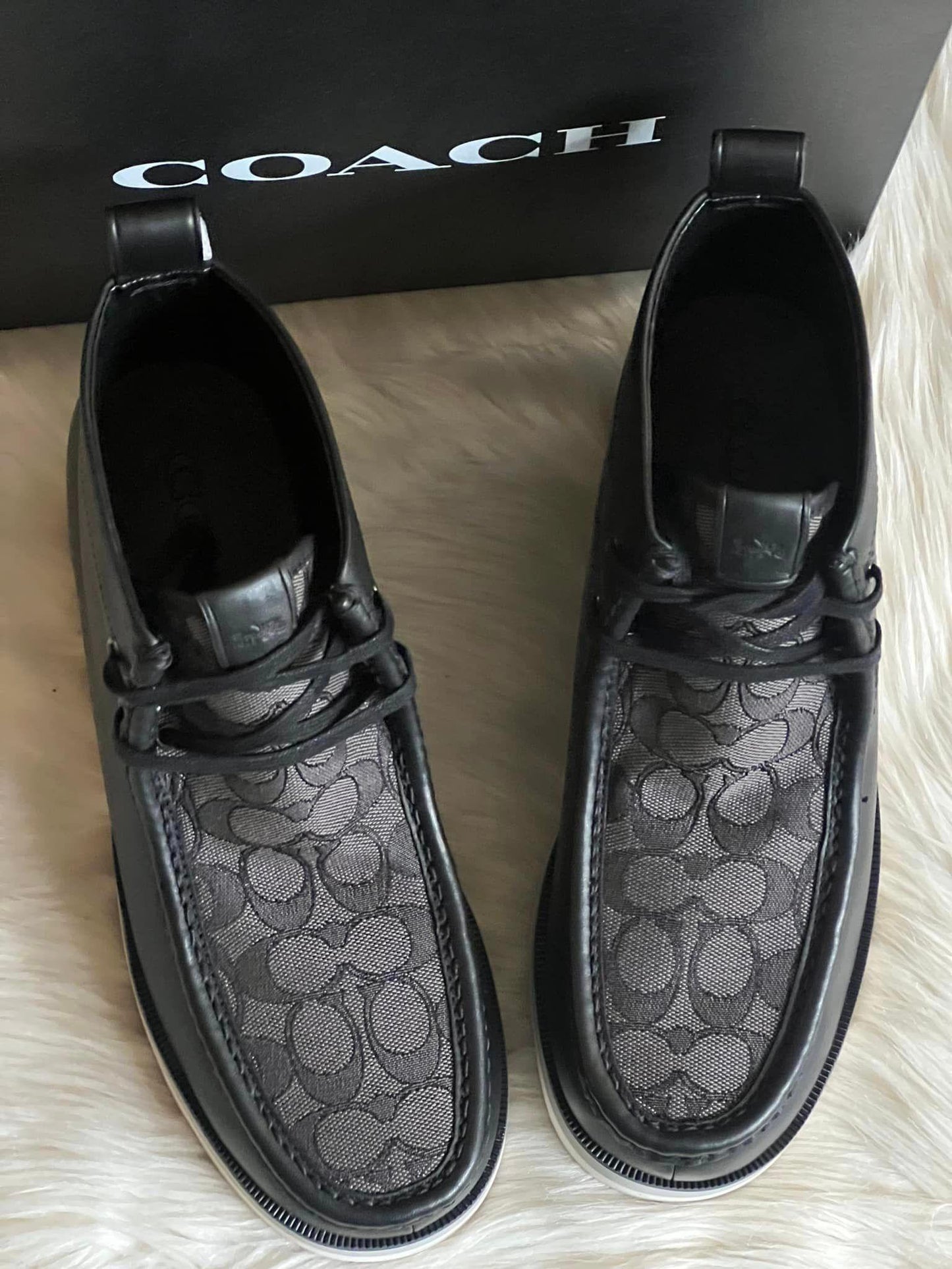 Coach Chukka Boot in Signature Jacquard