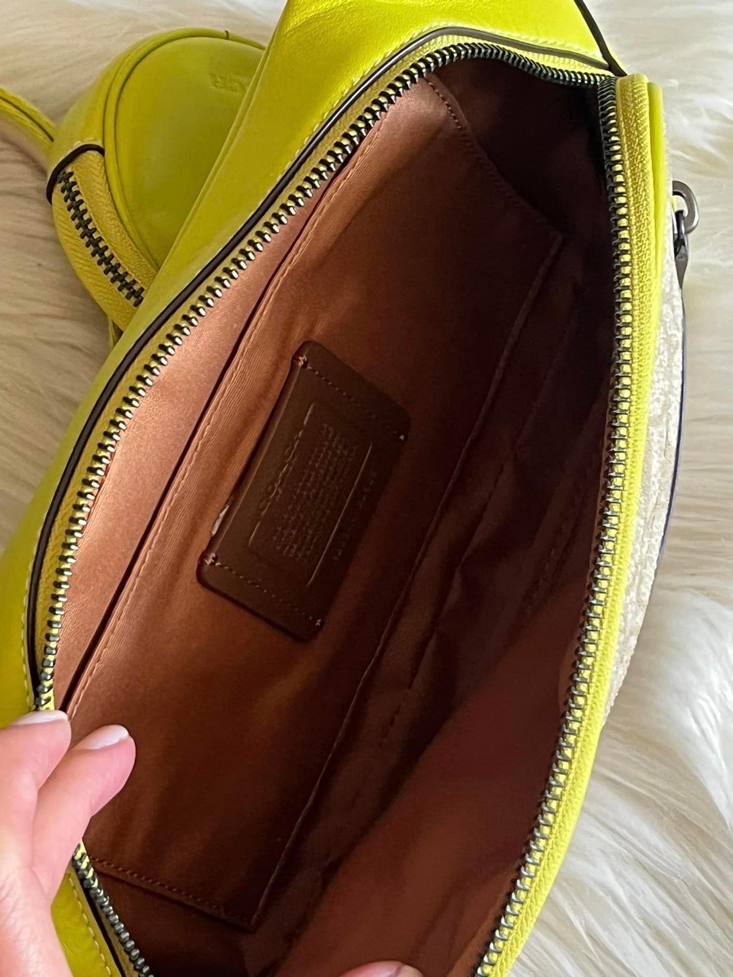 Coach Elias Belt Bag in Colorblock Signature Canvas
