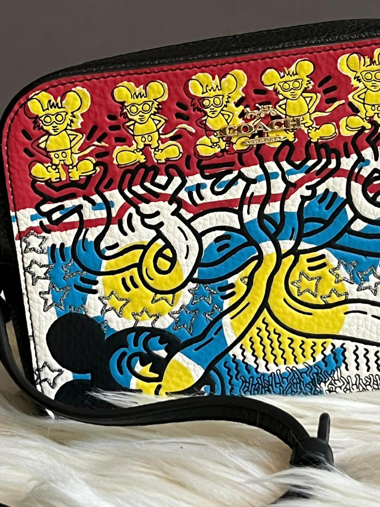 Coach Disney Mickey Mouse X Keith Haring Mini Camera Bag
