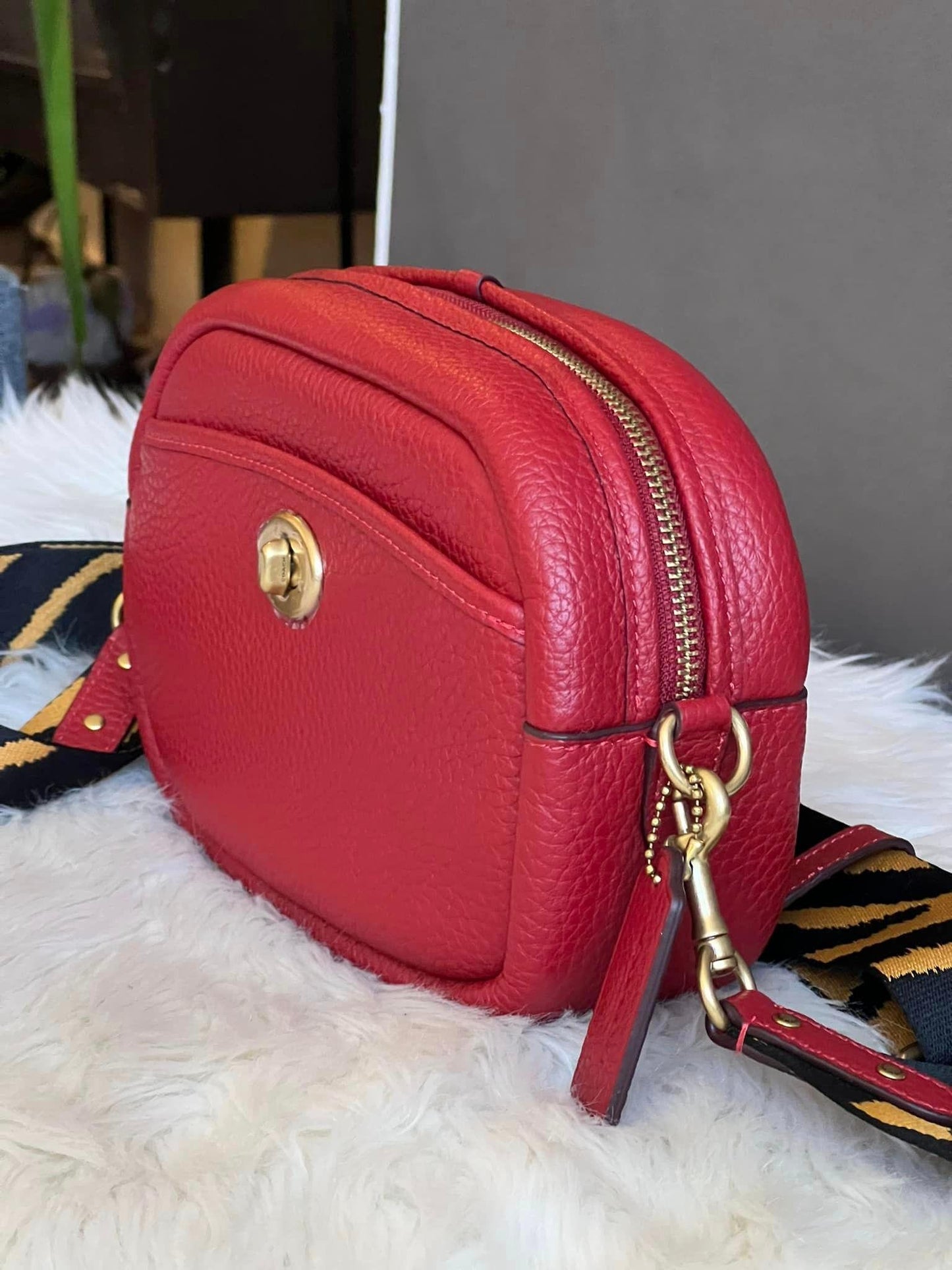Coach Lunar New Year Camera Bag
