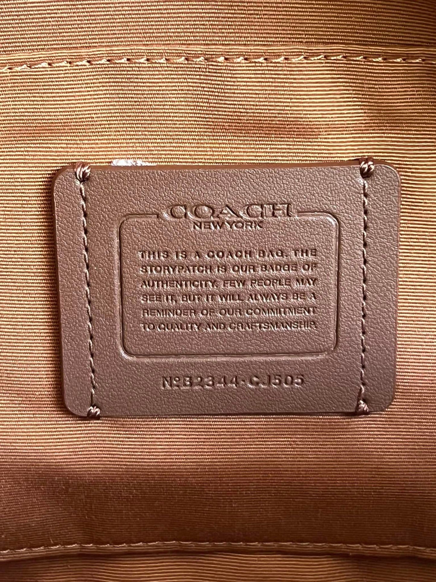 Coach Elias Belt Bag in Colorblock Signature Canvas