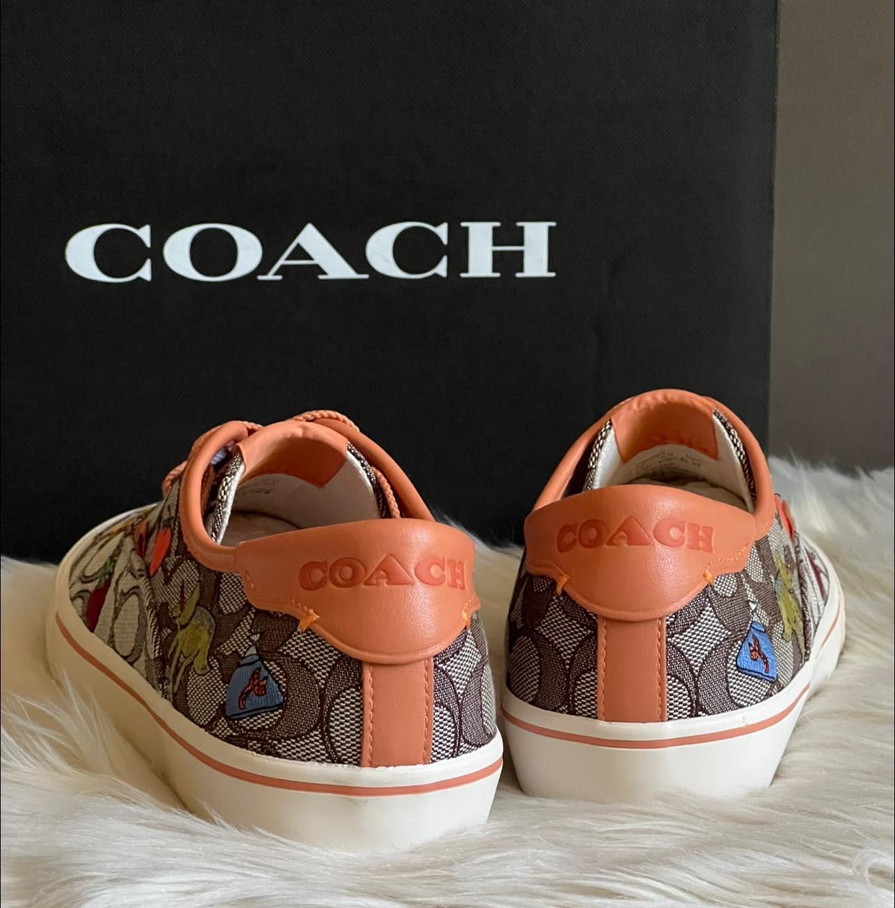 Coach X Observed By Us Skate Lace Up Sneaker In Signature Jacquard