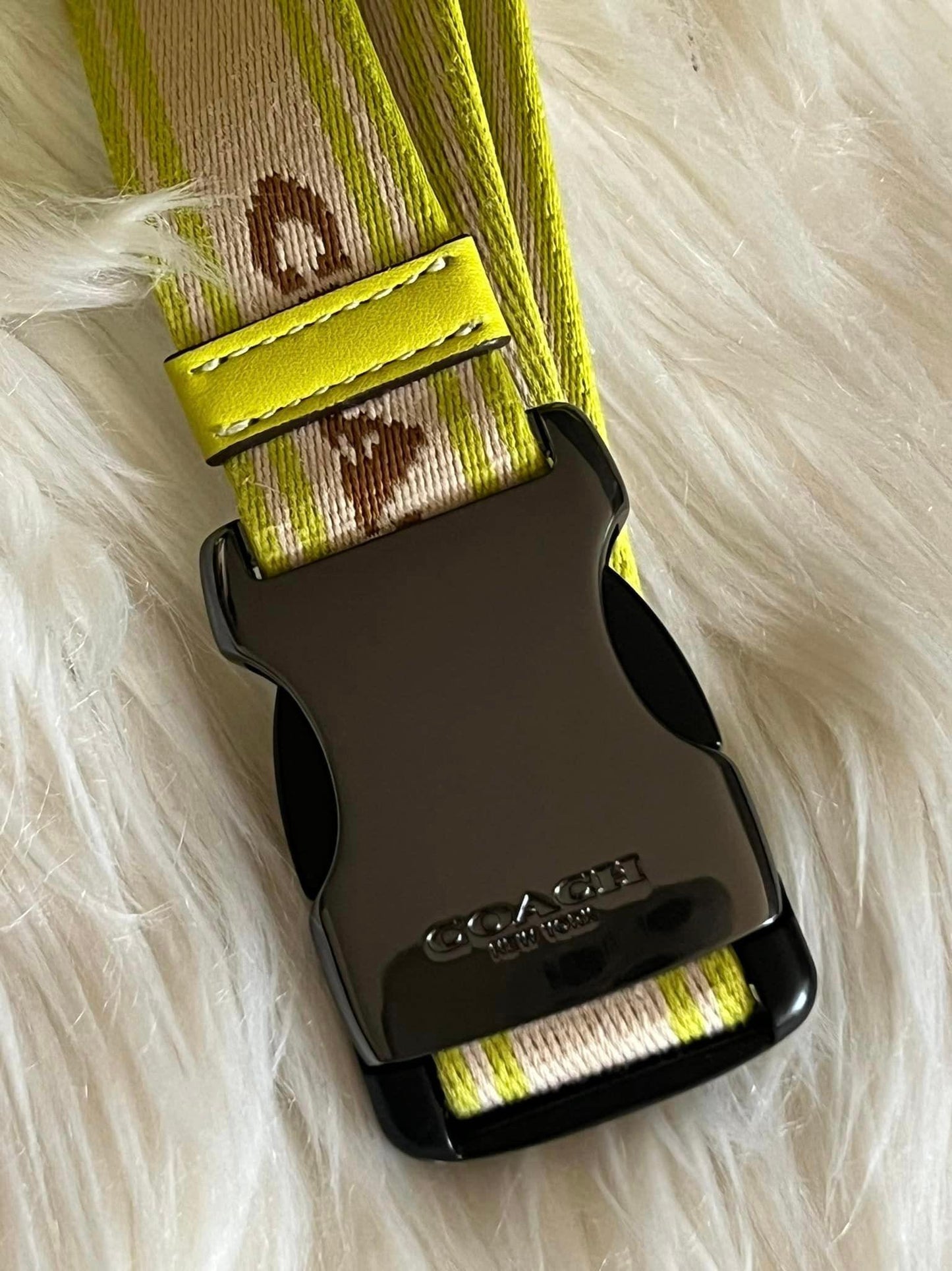 Coach Elias Belt Bag in Colorblock Signature Canvas