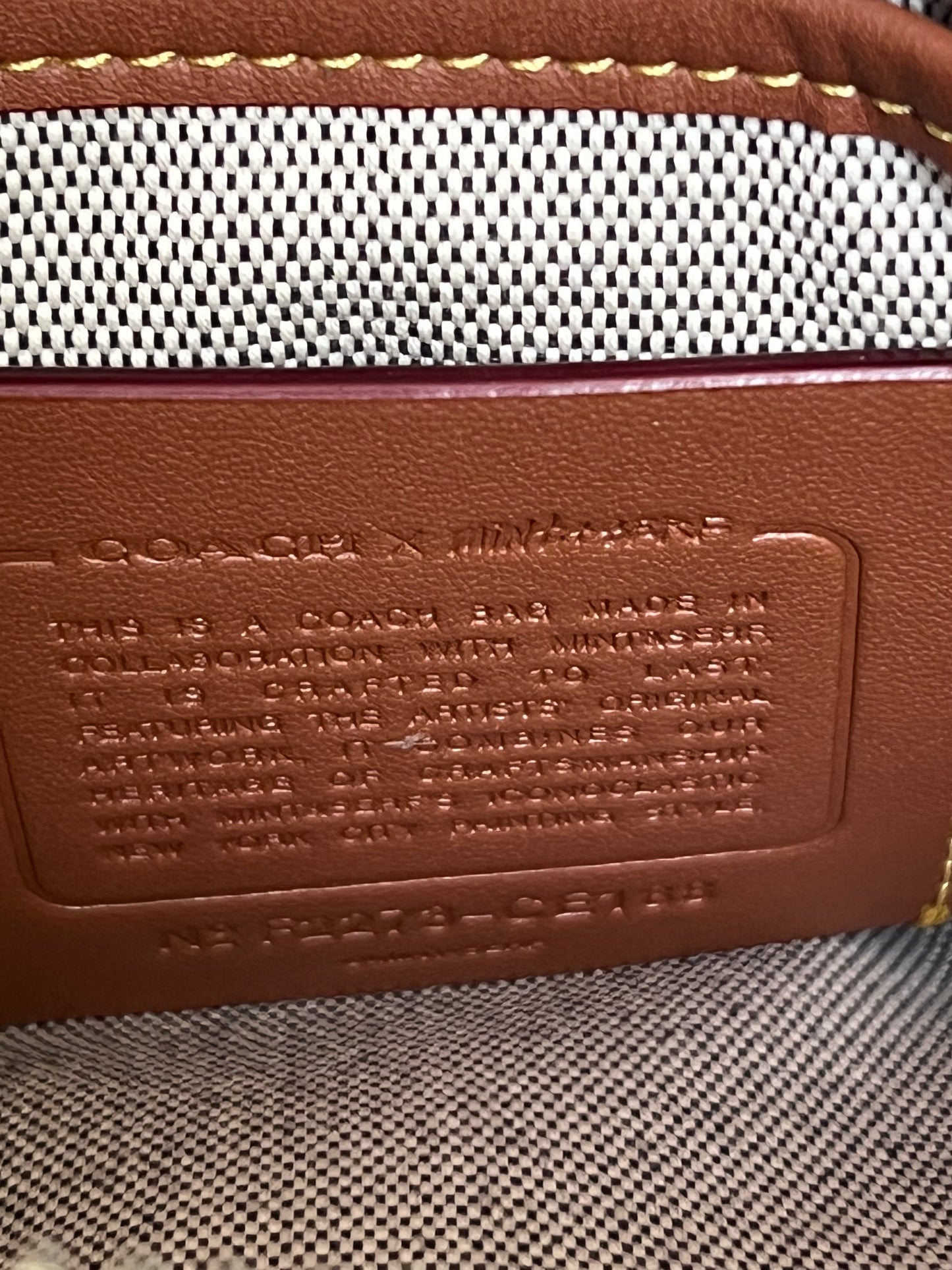 Coach X Mint + Serf Rogue Crossbody 12