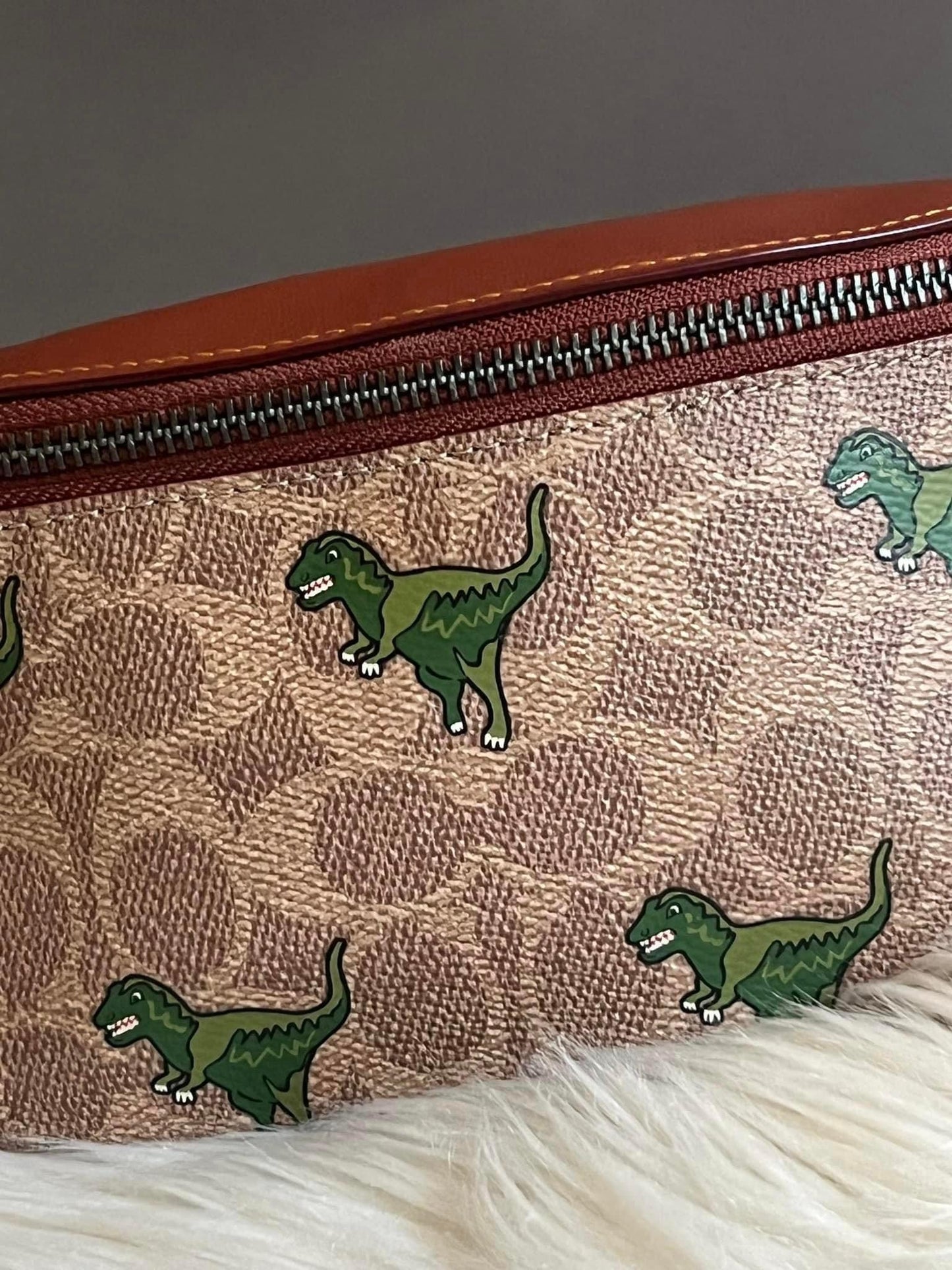 Coach Charter Belt Bag 7 in Signature Canvas with Rexy Print