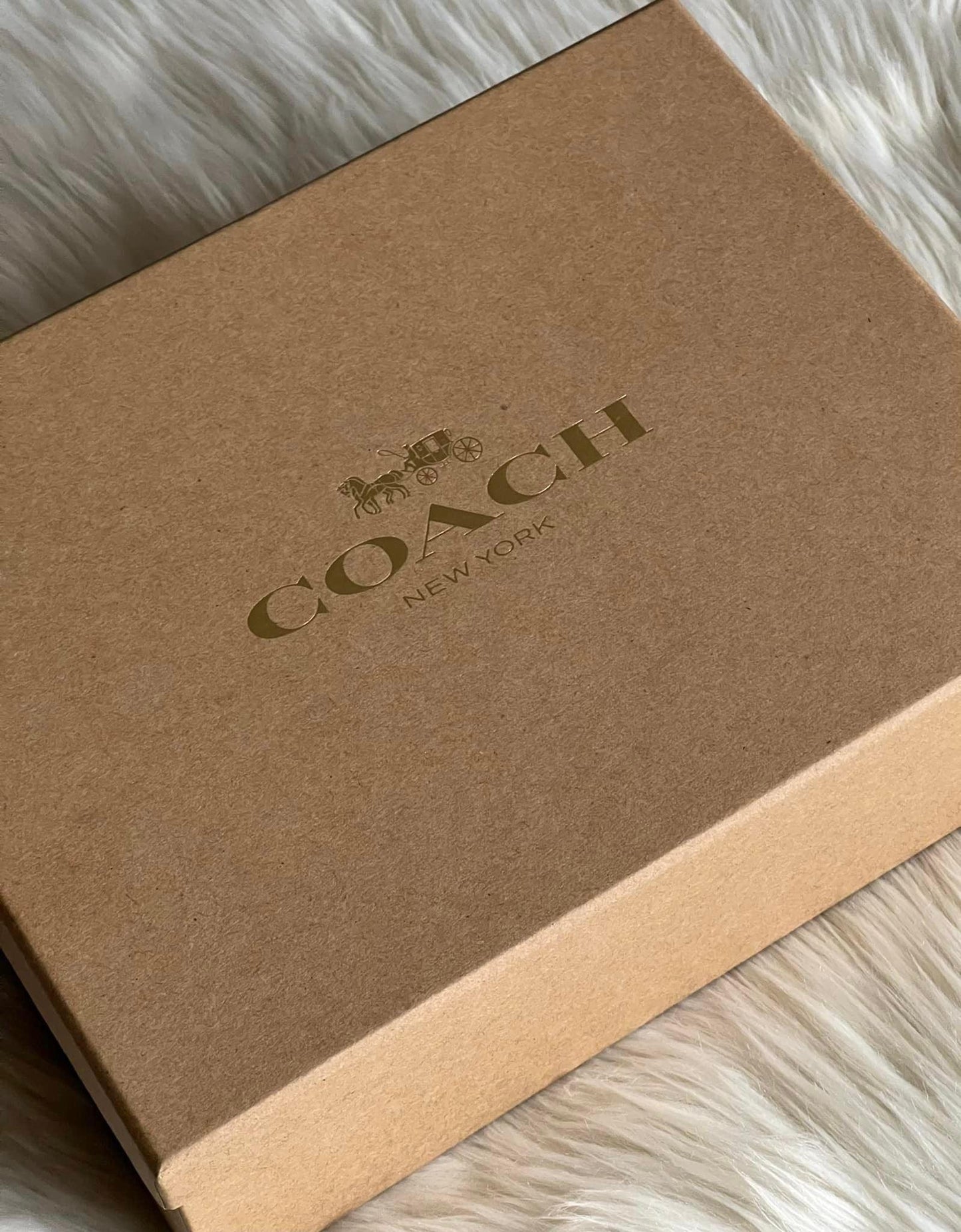 Coach Boxed Nolita 15 In Signature Canvas