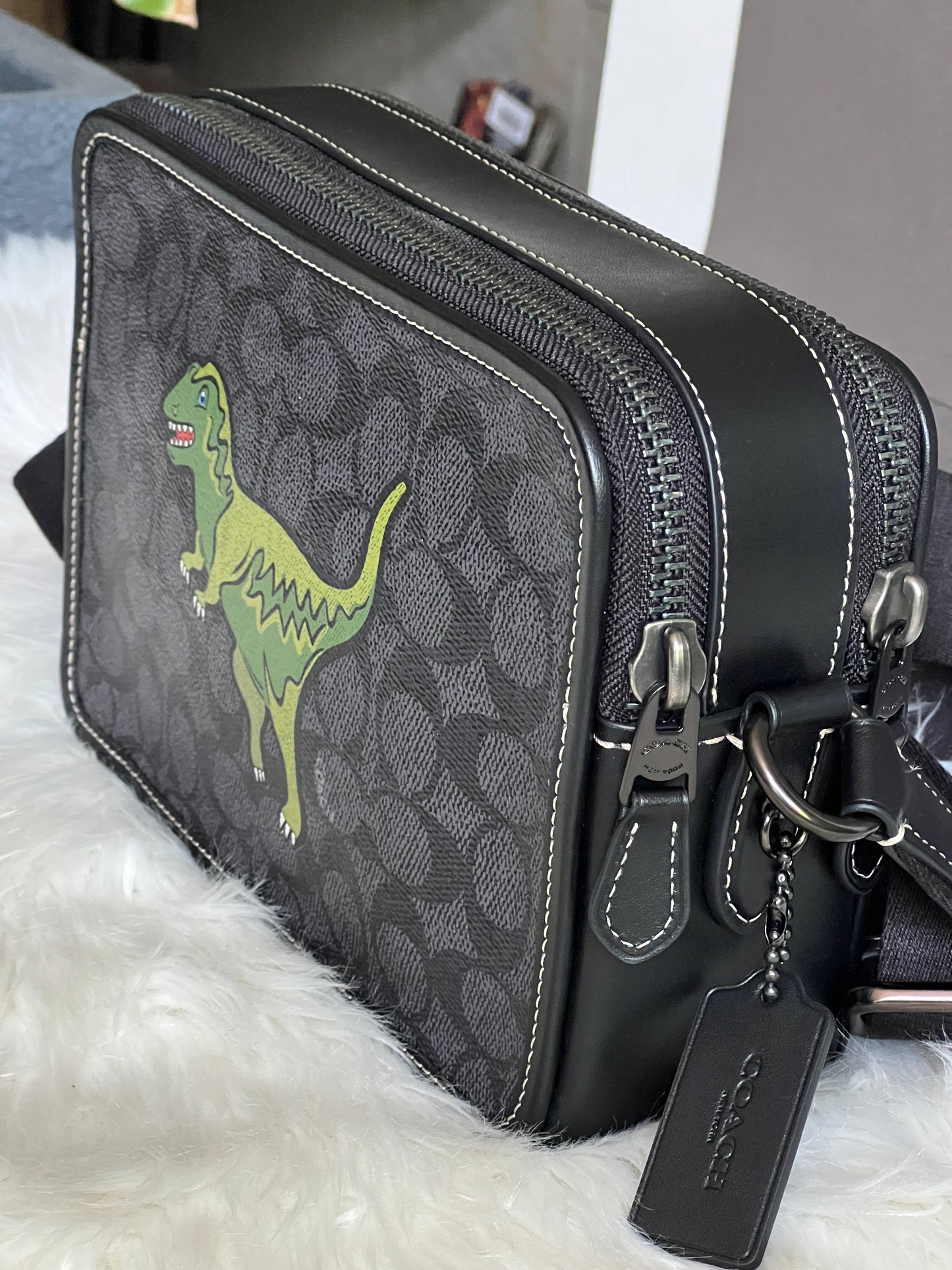 Coach Charter Crossbody 24 Signature Canvas with Rexy
