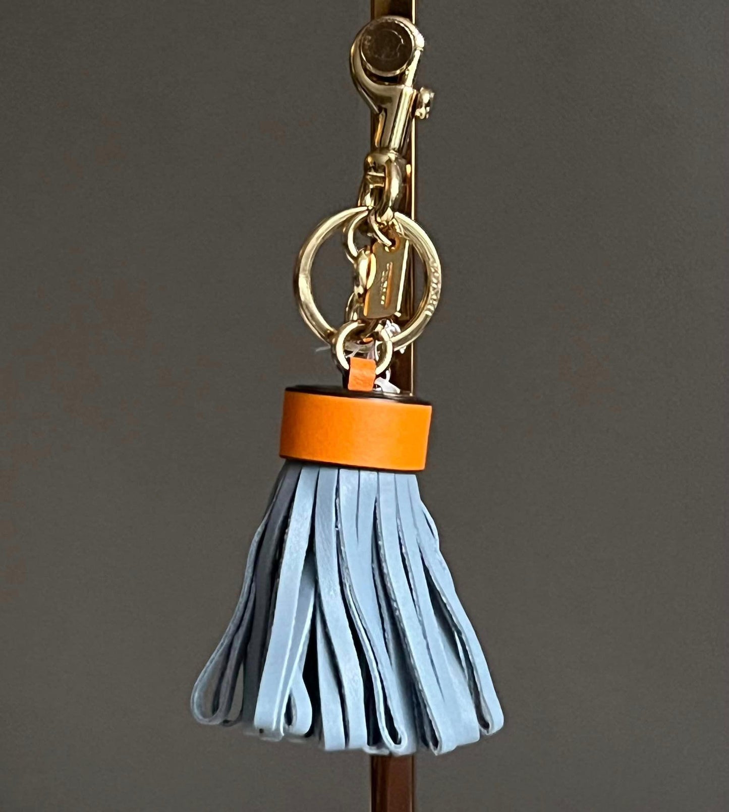 Coach Leather Tassel Bag Charm