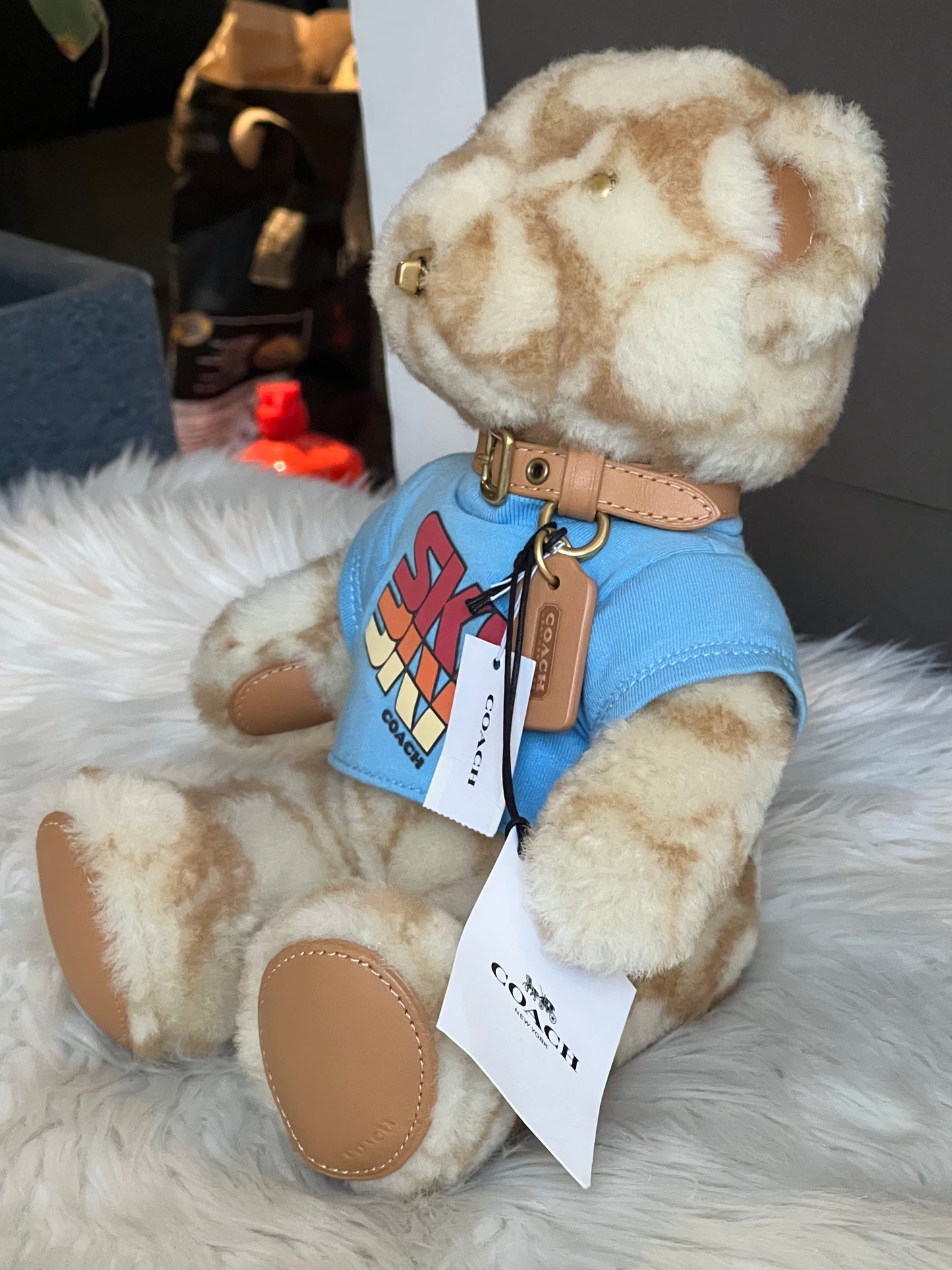 Coach Ski Bear Collectible in Signature Shearling