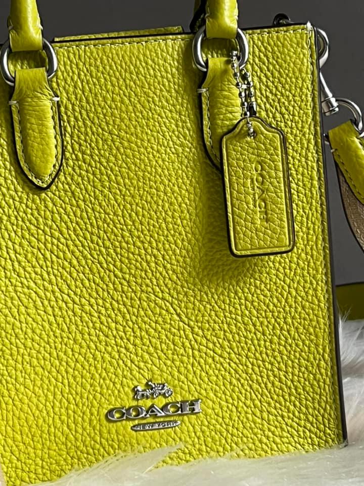 Coach North South Mini Tote with Signature Canvas