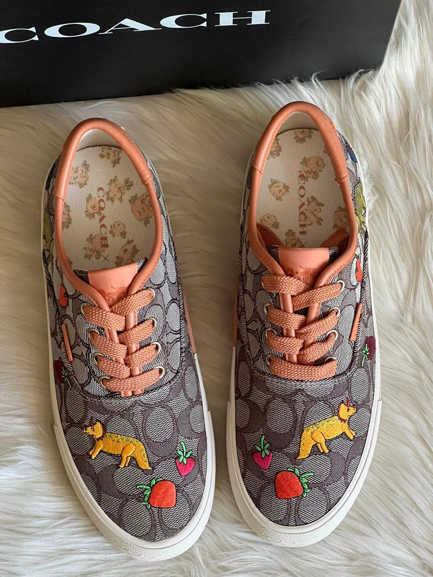 Coach X Observed By Us Skate Lace Up Sneaker In Signature Jacquard