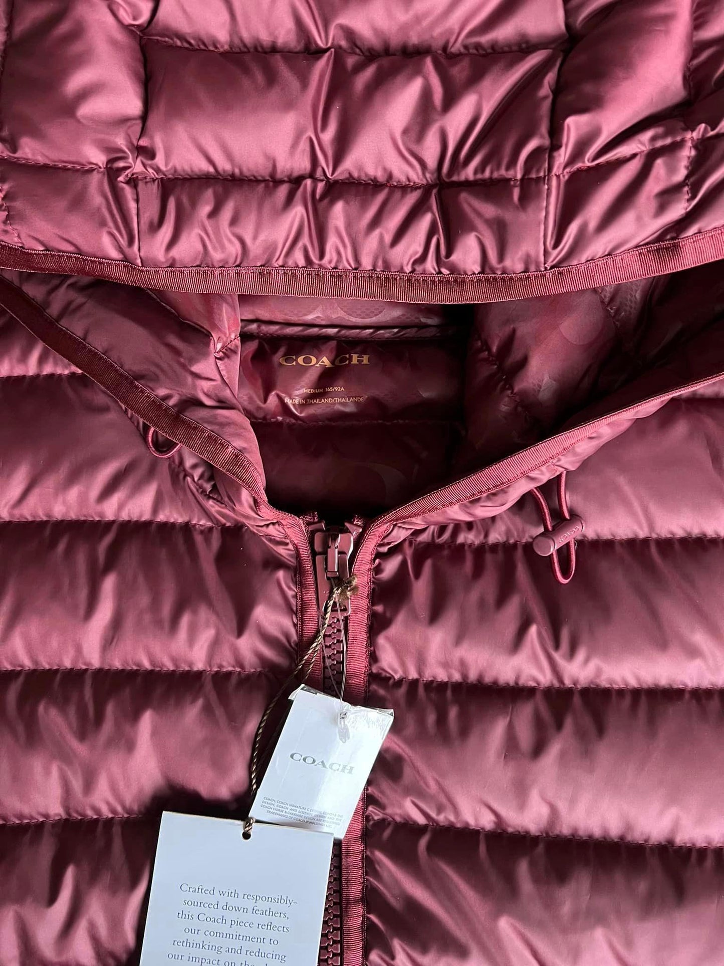 Coach Long Down Coat with Hood