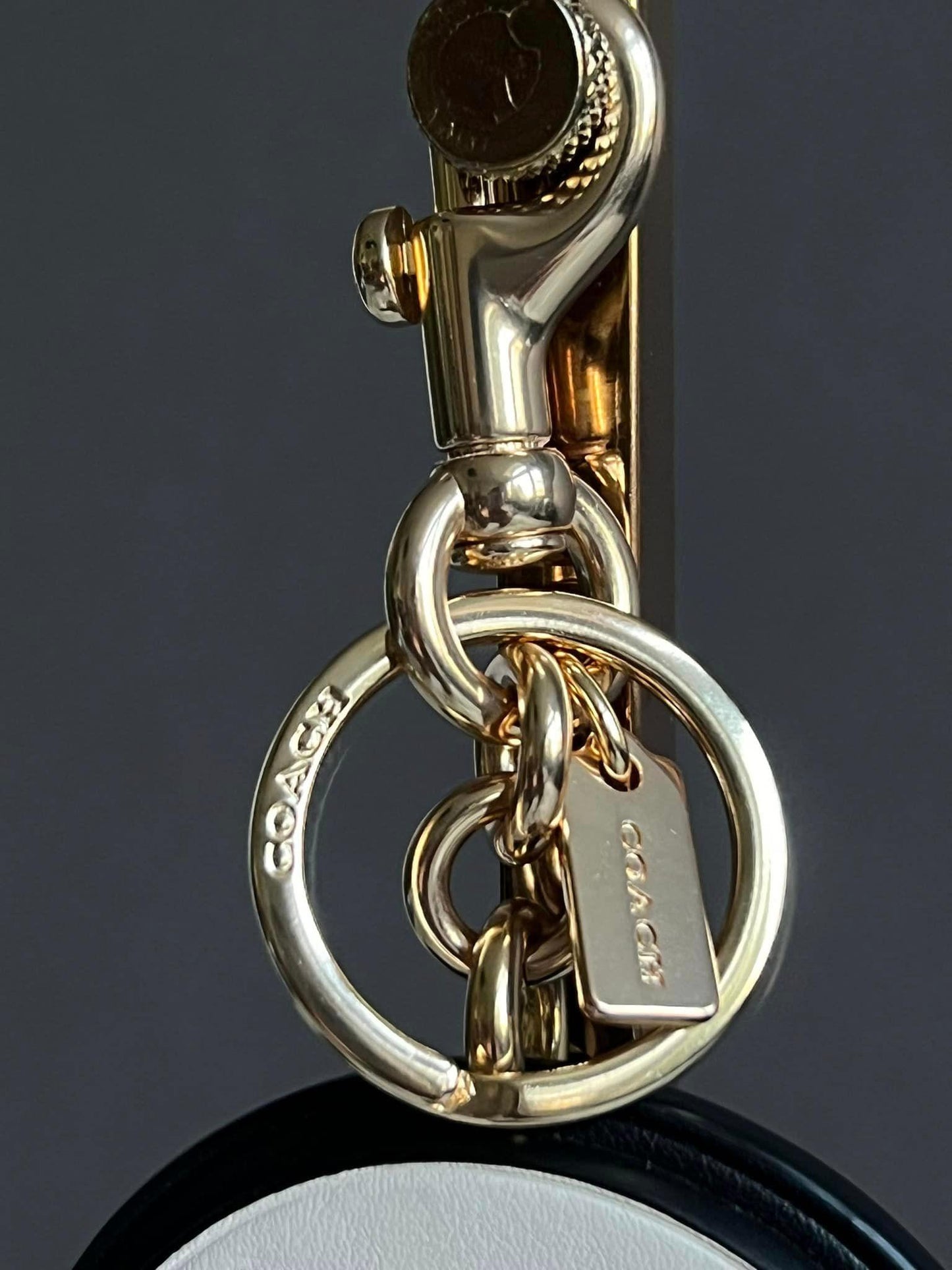 Coach Bad Girls Club Bag Charm In Signature Canvas