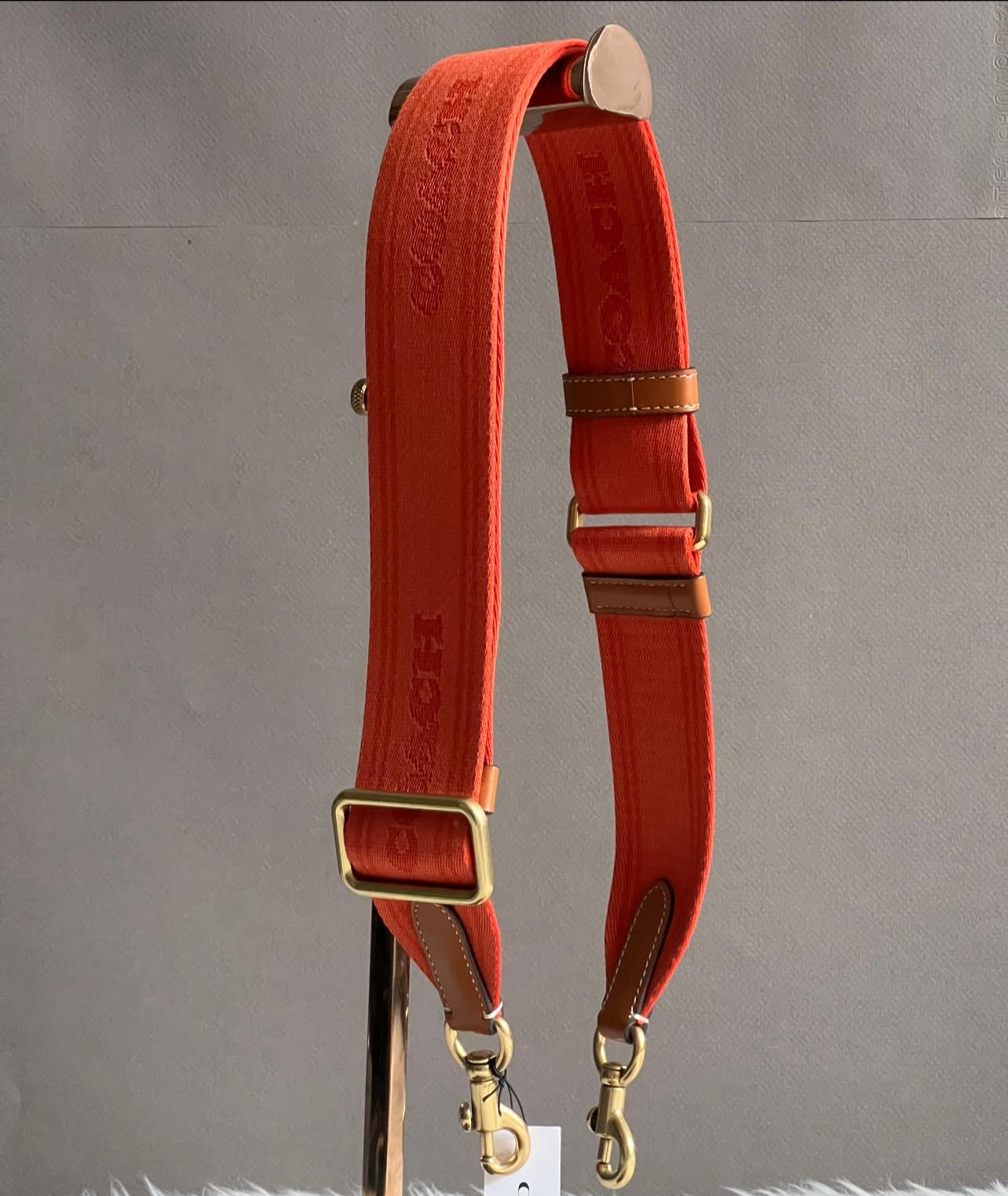 Coach Colorblock Webbing Strap