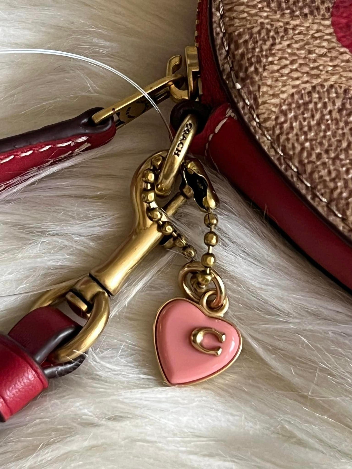 Coach Heart Wristlet in Signature Canvas with Heart Print