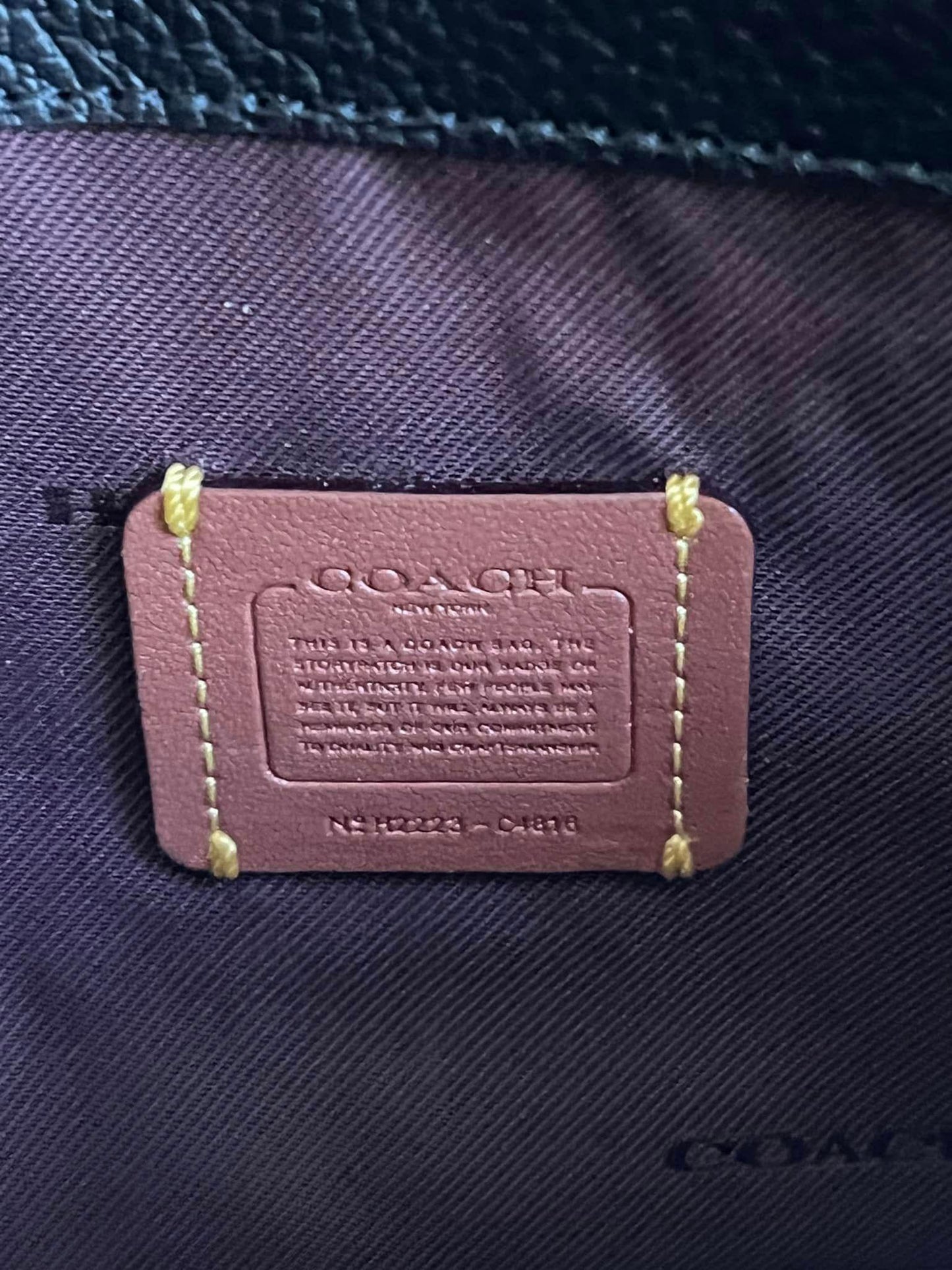Coach Noa Pop-up Messenger