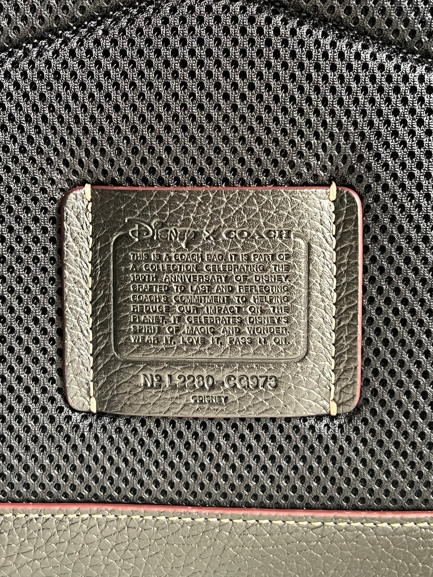 Disney X Coach Charter Backpack in Regenerative Leather