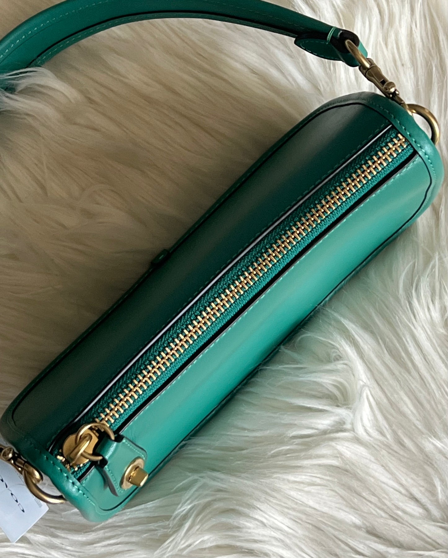 Coach Swinger 20