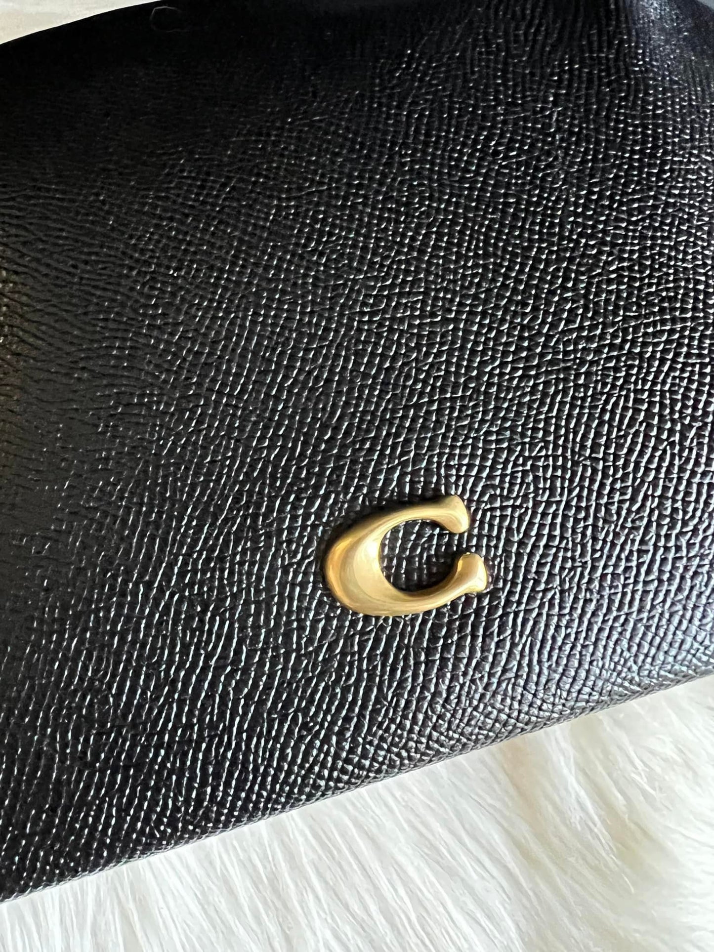 Coach Julienne Cosmetic Case 22