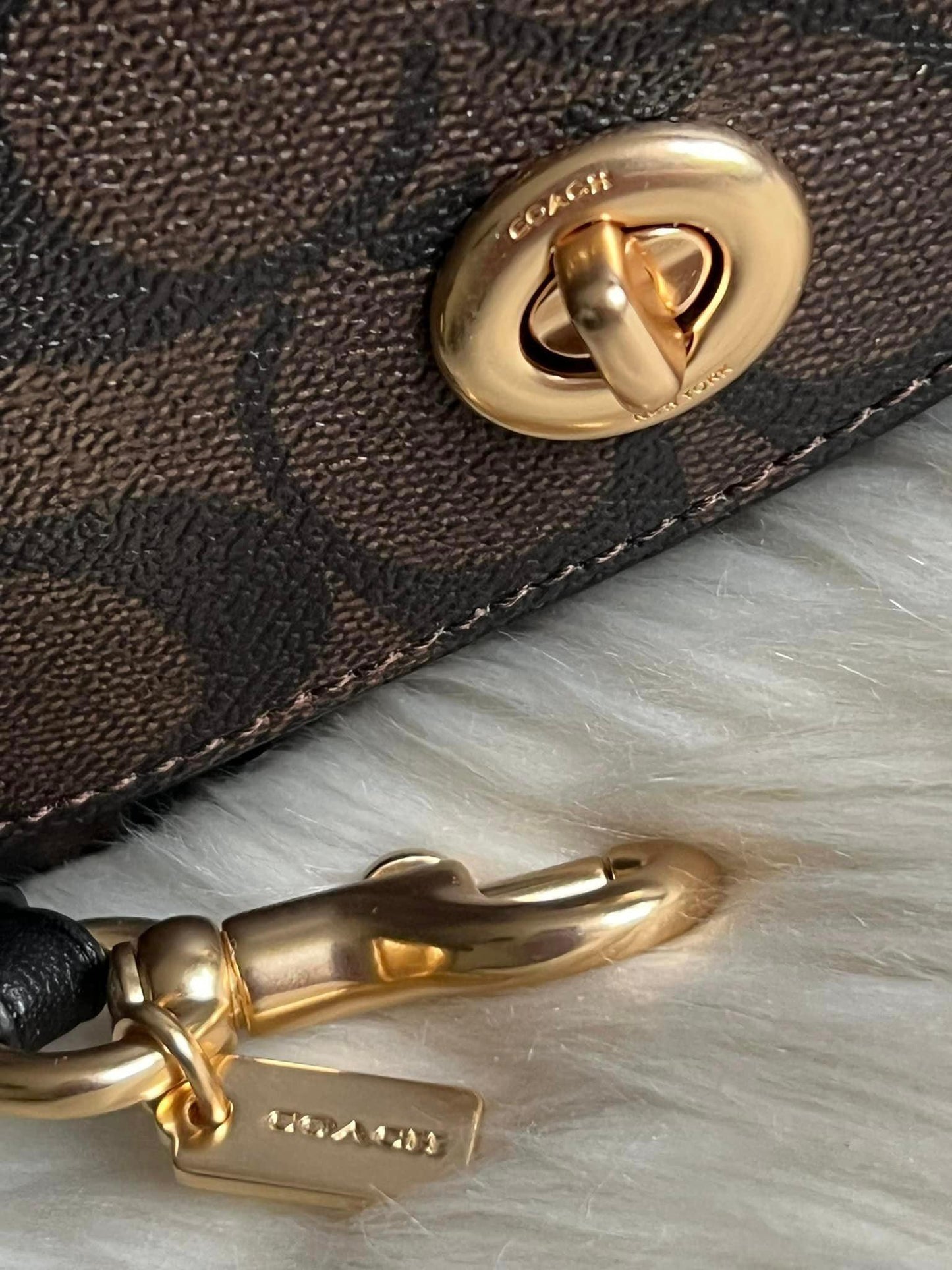 Coach Sunglass Case In Signature Canvas